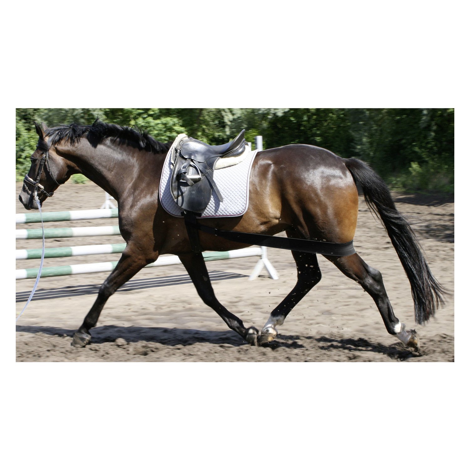 EQUEST Körperbandage – Ansicht 3