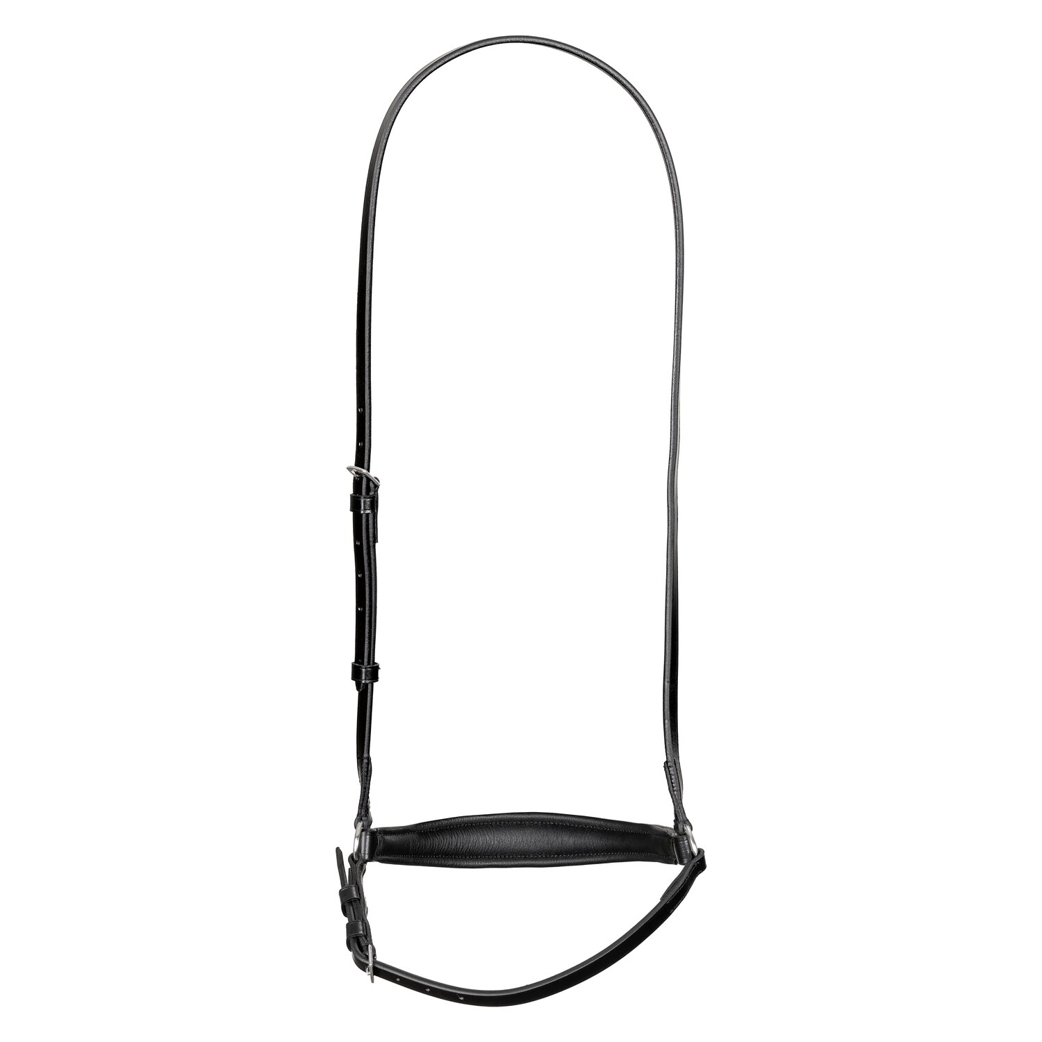 MONTIVUM Hannoversches Reithalfter – Ansicht 2