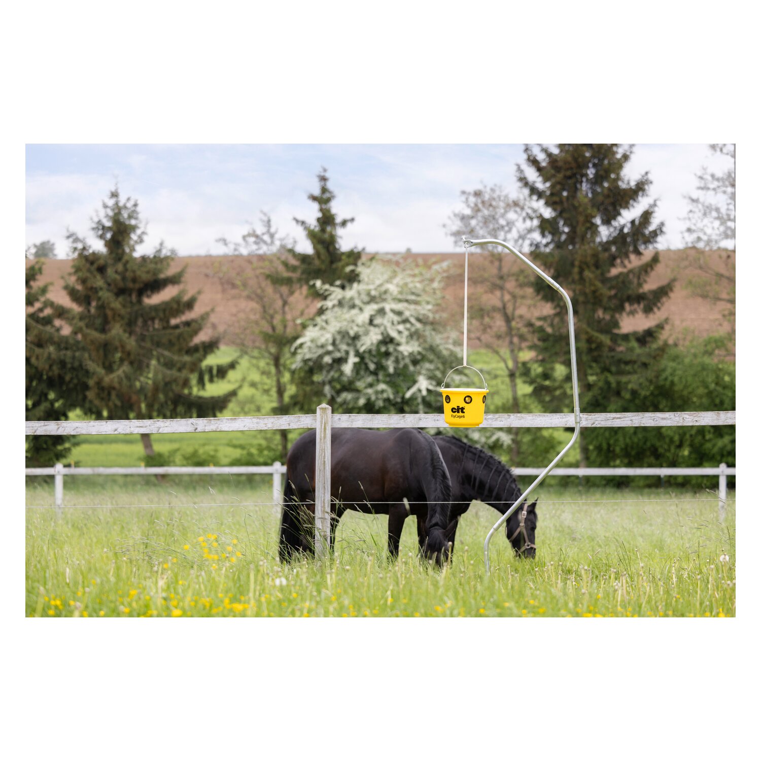KERBL cit Fliegenfalle FlyCage6 – Ansicht 5
