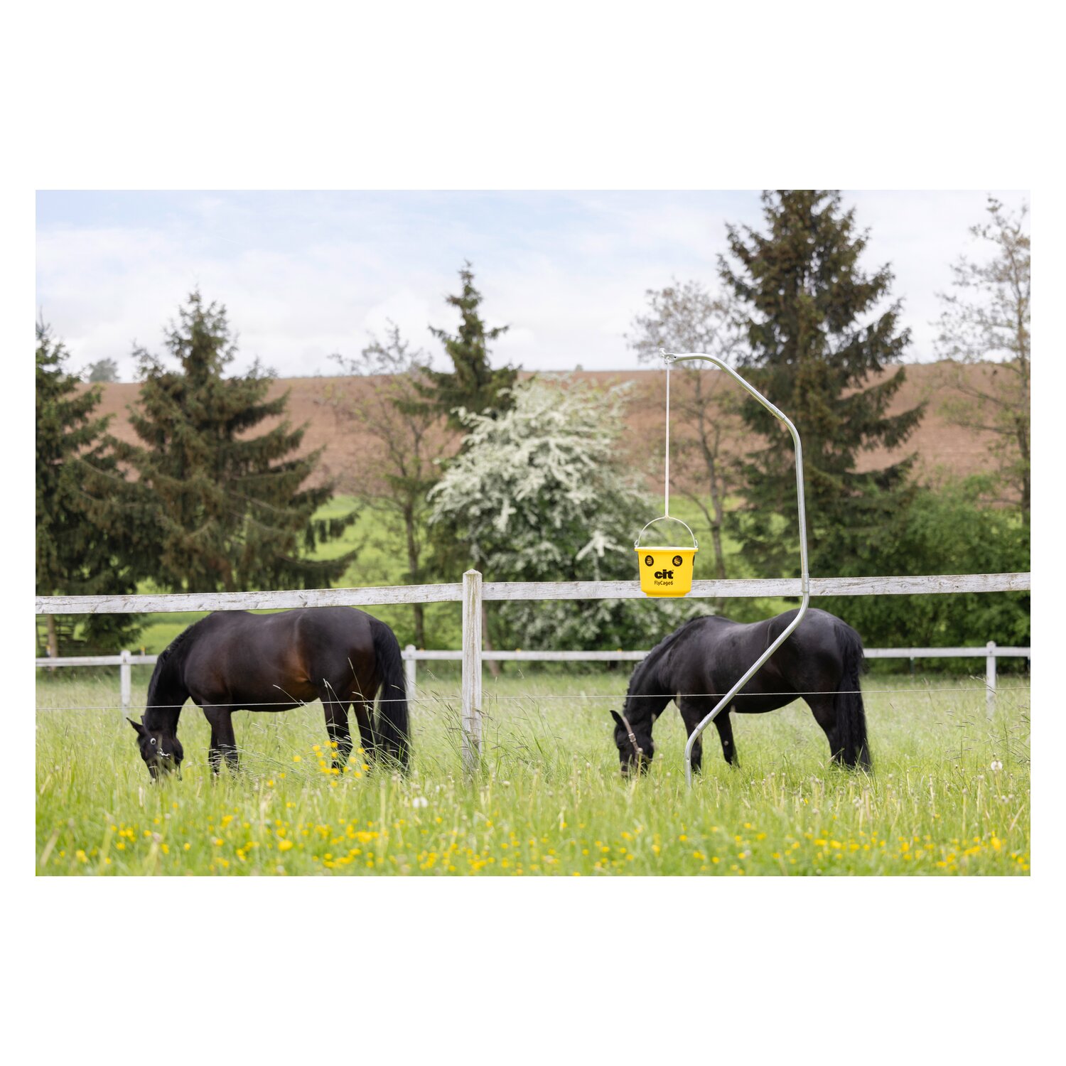 KERBL cit Fliegenfalle FlyCage6 – Ansicht 6