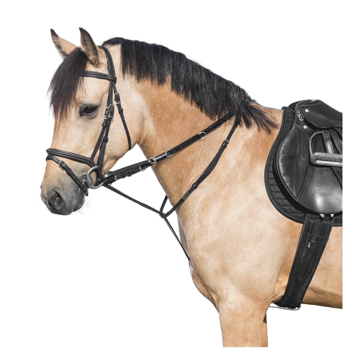 MONTIVUM Thiedemann Springkombination – Ansicht 1