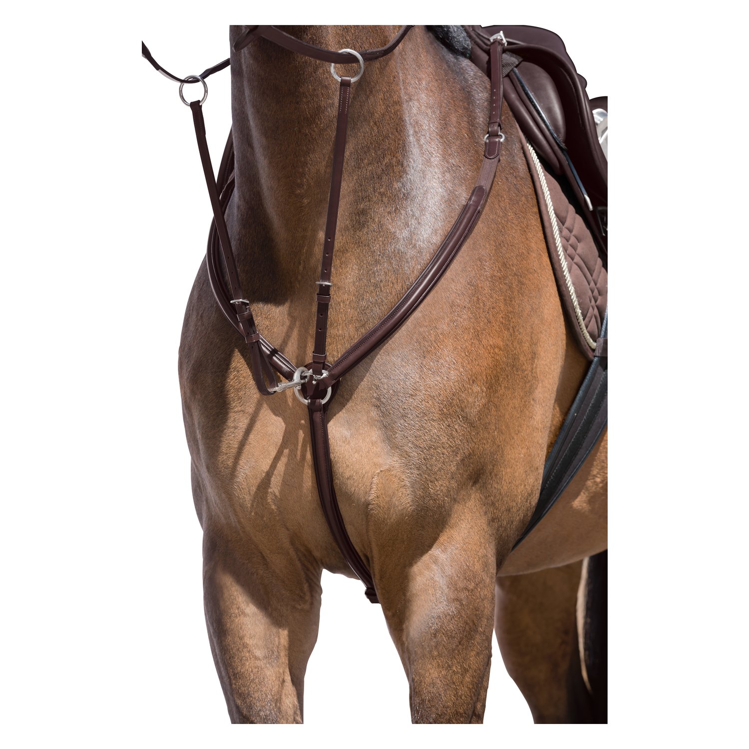 Cheval de Luxe Vorderzeug Miami – Ansicht 1
