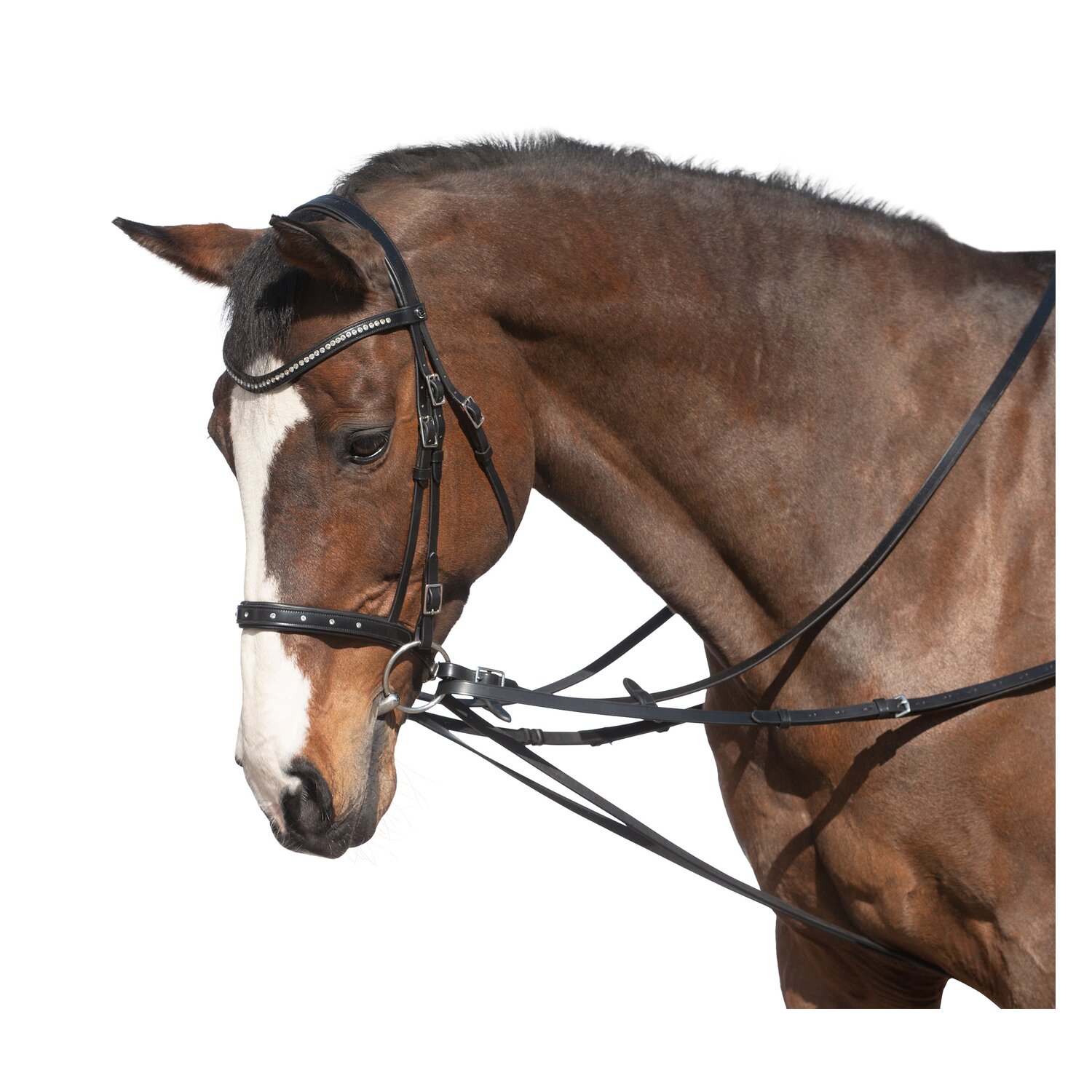 MONTIVUM Geteilter Dreieckszügel – Ansicht 1