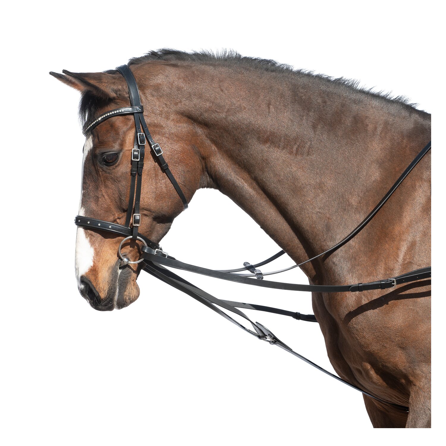 MONTIVUM Dreieckszügel &ndash; Ansicht 1