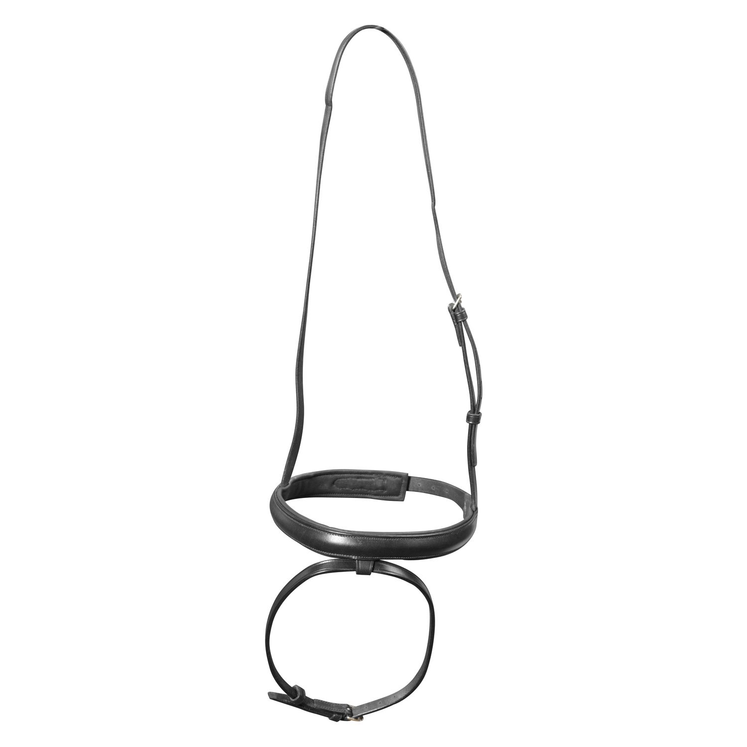 Englisch kombiniertes Reithalfter – Ansicht 1