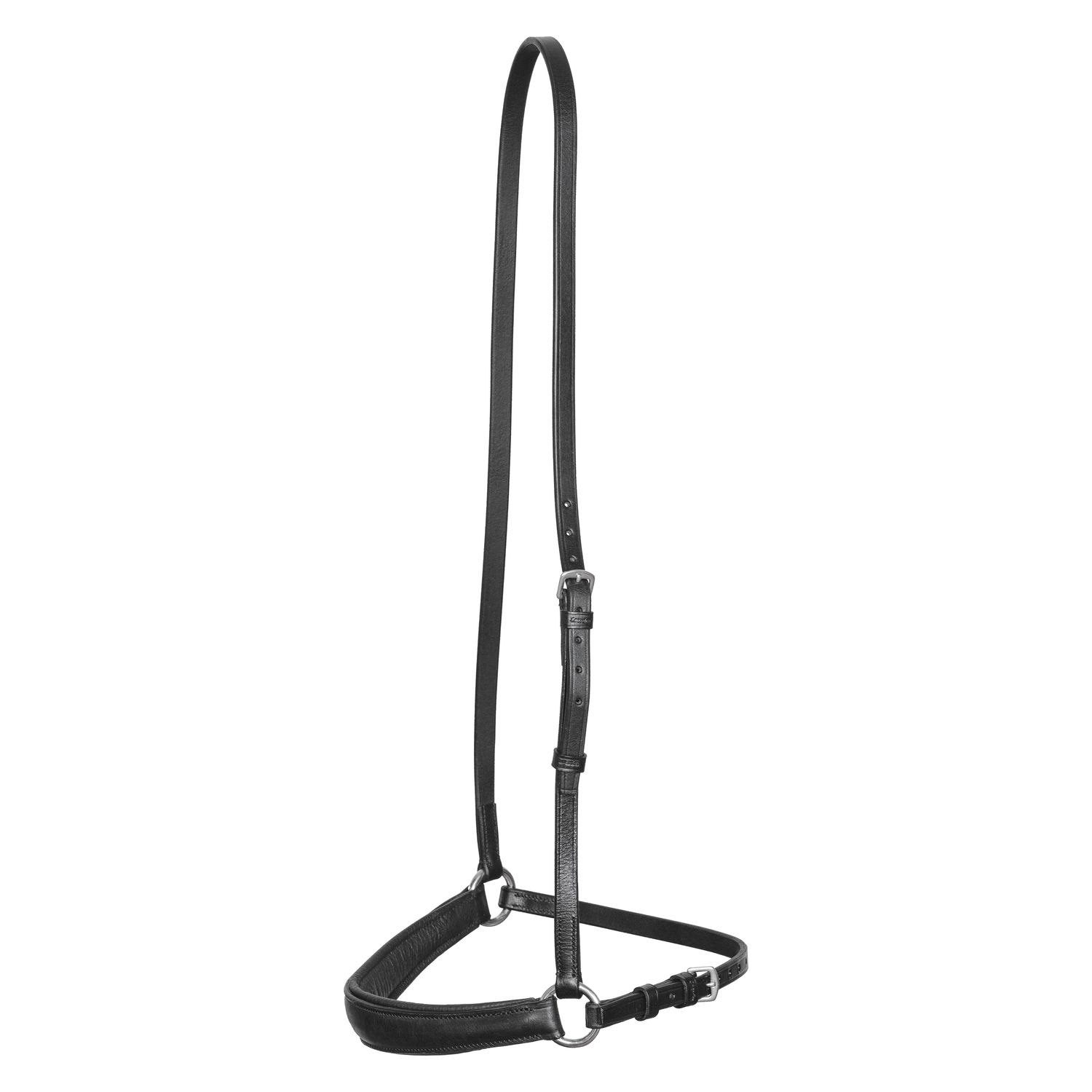 Hannoversches Reithalfter – Ansicht 1