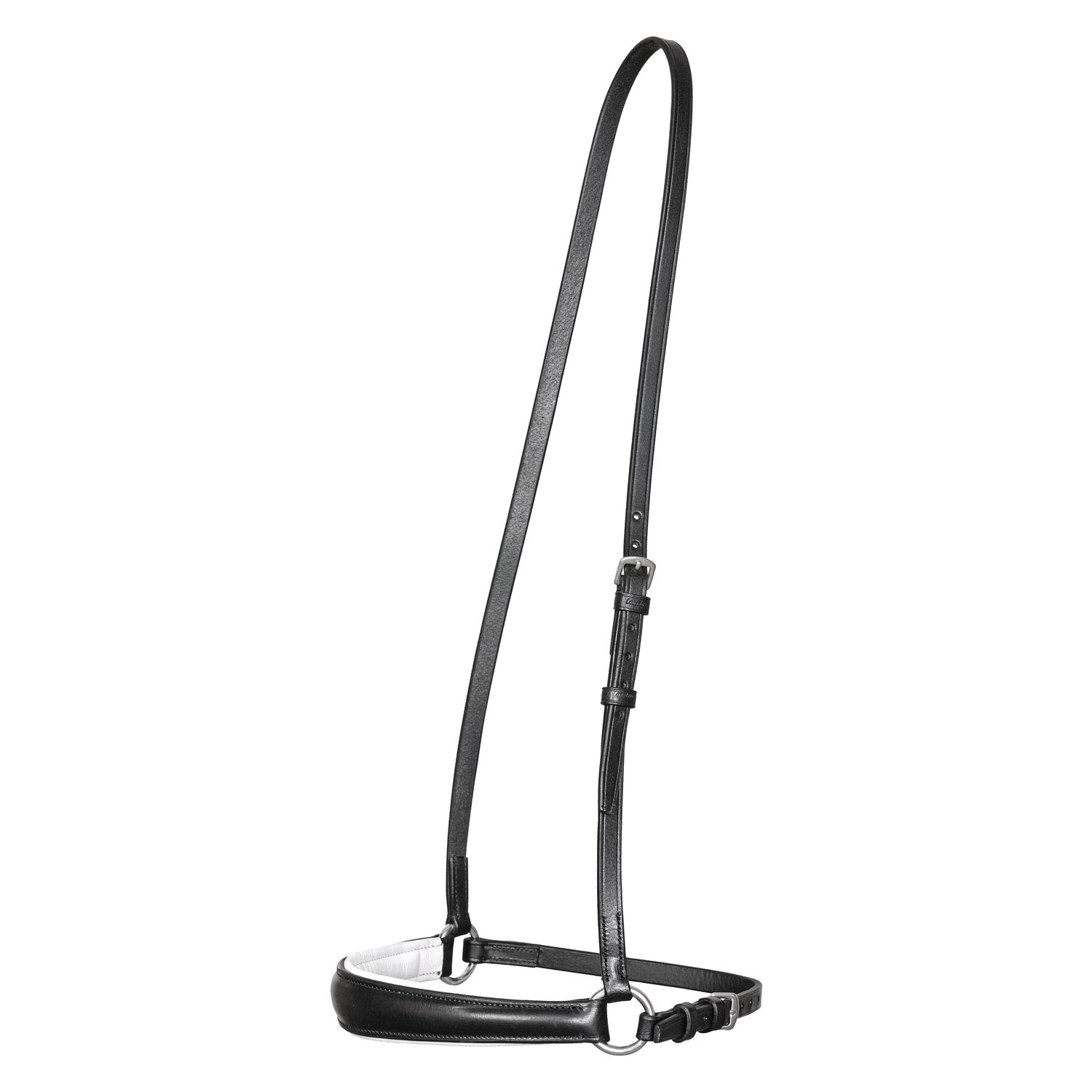 Hannoversches Reithalfter – Ansicht 2