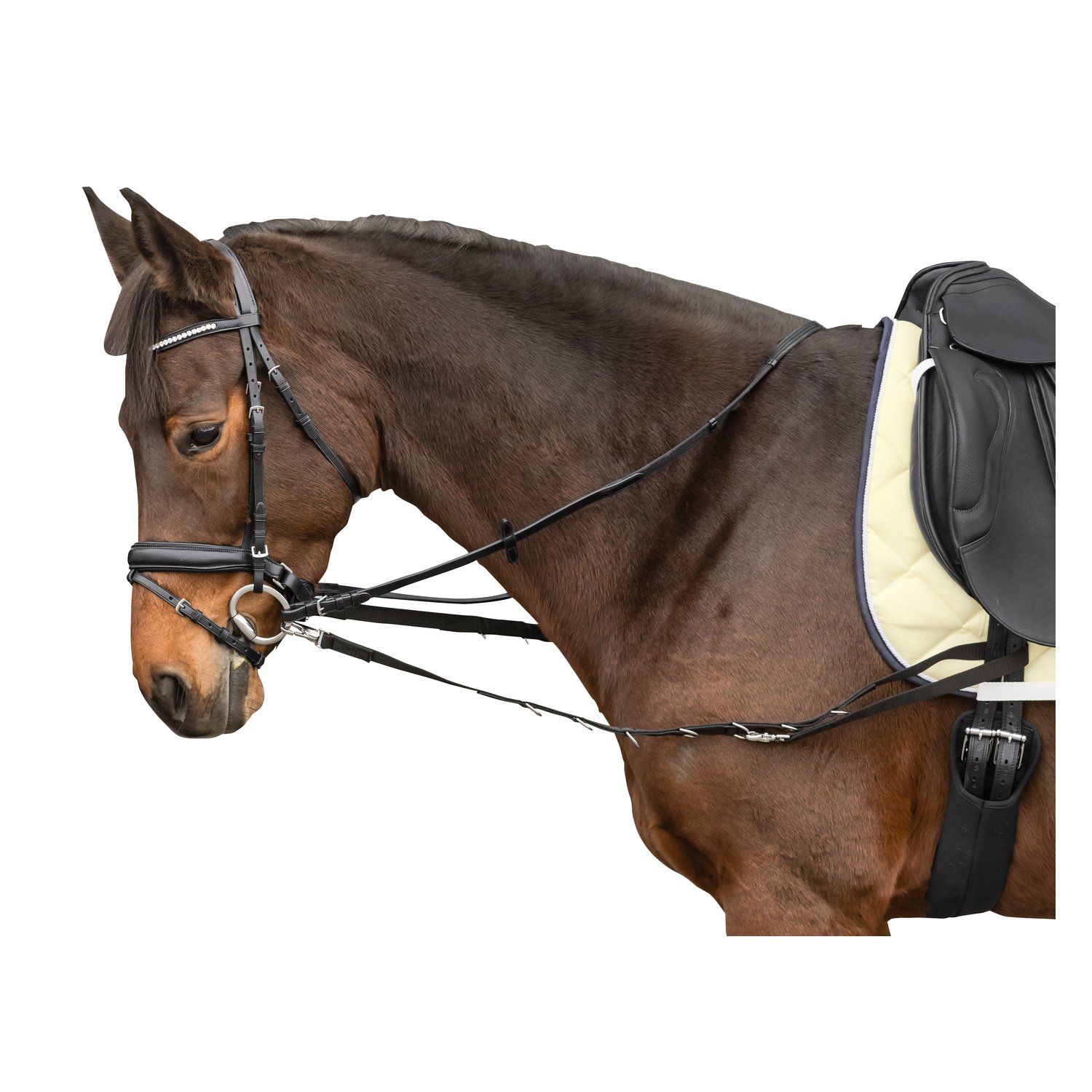 Loesdau Ausbindezügel mit D-Ringen – Ansicht 1