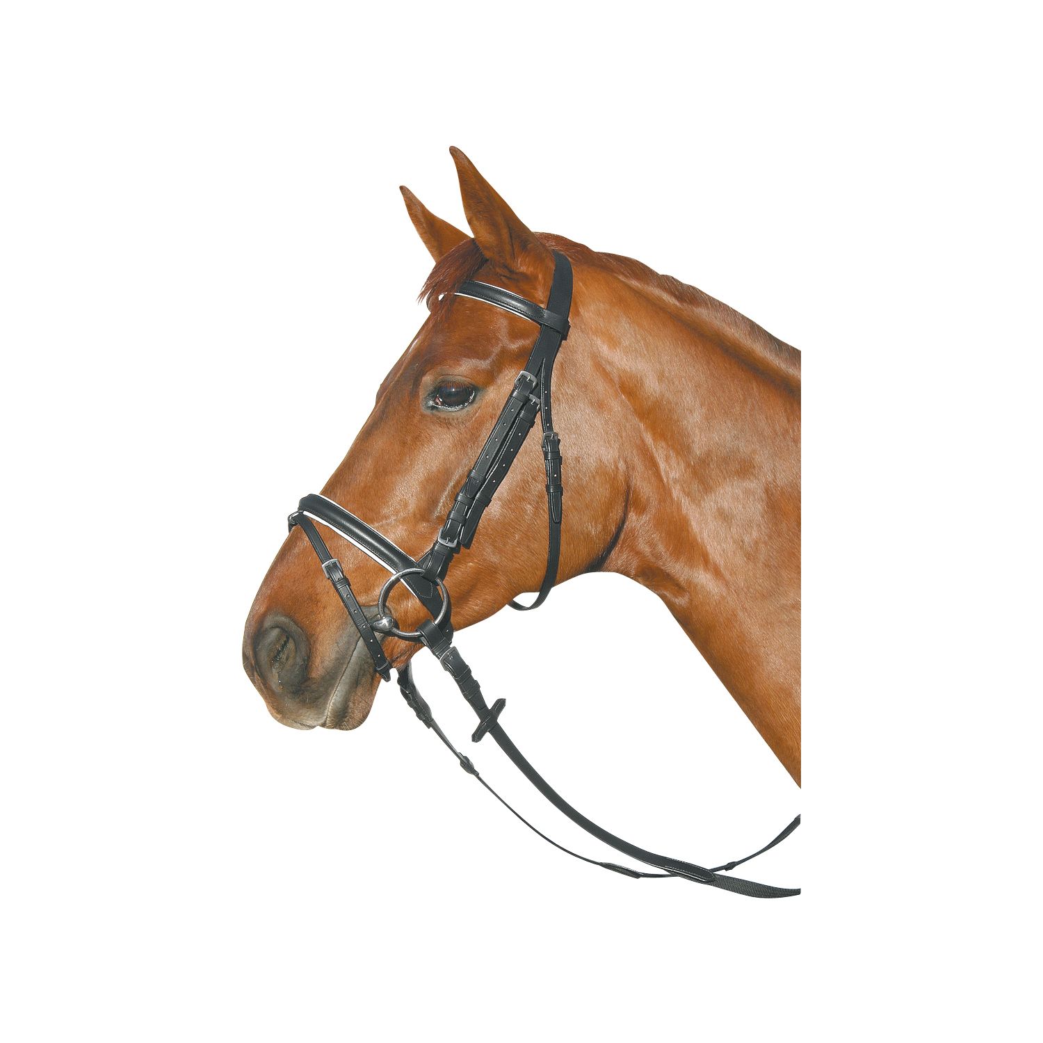 Loesdau Trensen-Set mit Gebiss – Ansicht 1