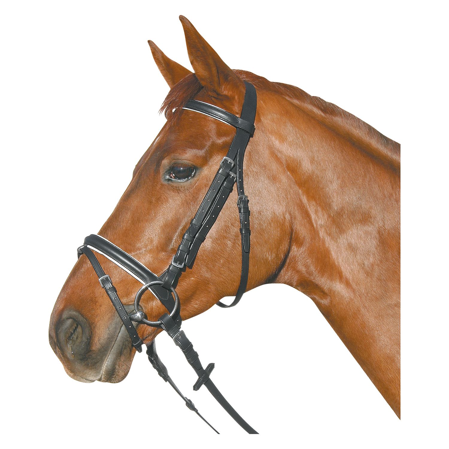 Loesdau Trensenzaum – Ansicht 1