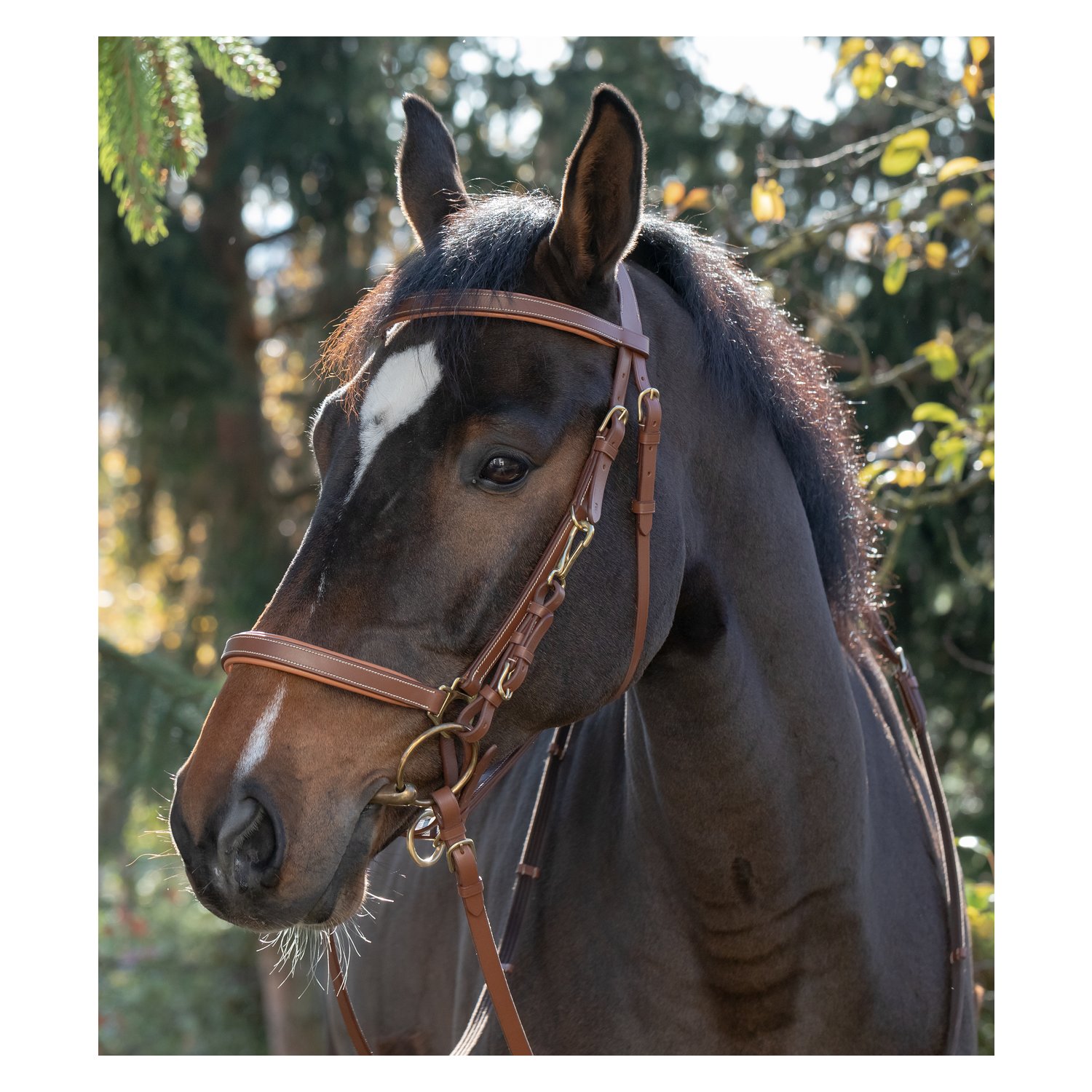 black forest Wanderreitzaum Merida – Ansicht 3