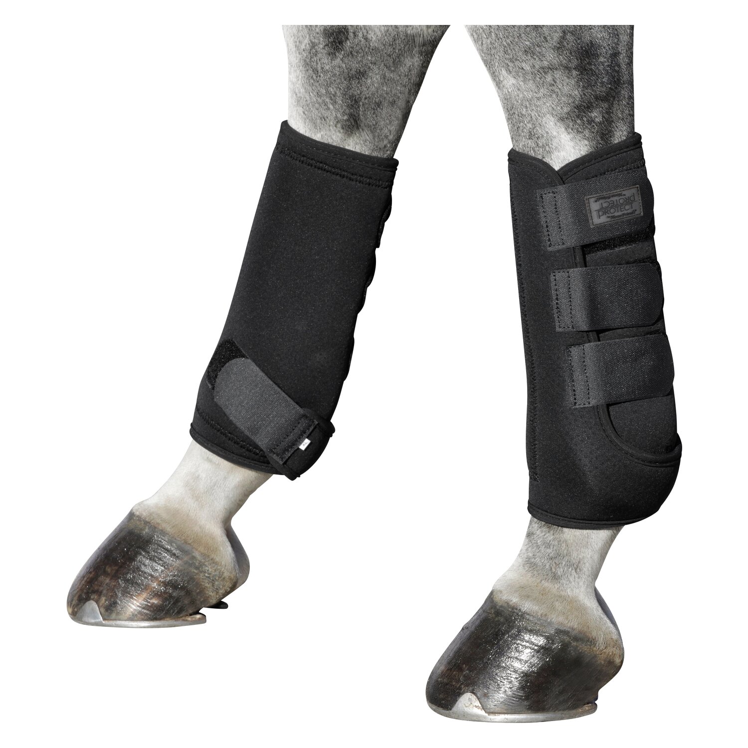 PROTECT by Horse-Friends Gamaschen Montreal – Ansicht 2