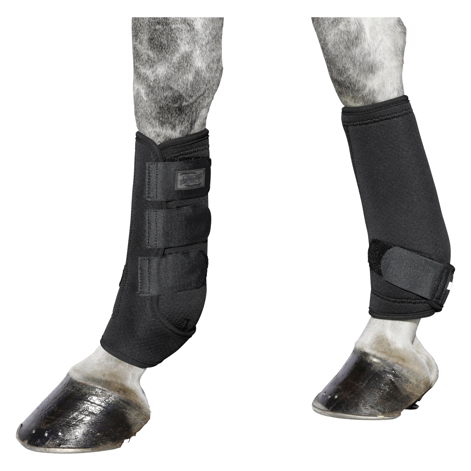 PROTECT by Horse-Friends Gamaschen Montreal – Ansicht 3