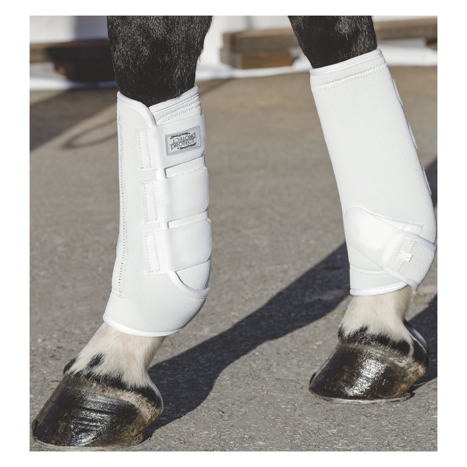 PROTECT by Horse-Friends Gamaschen Montreal – Ansicht 3