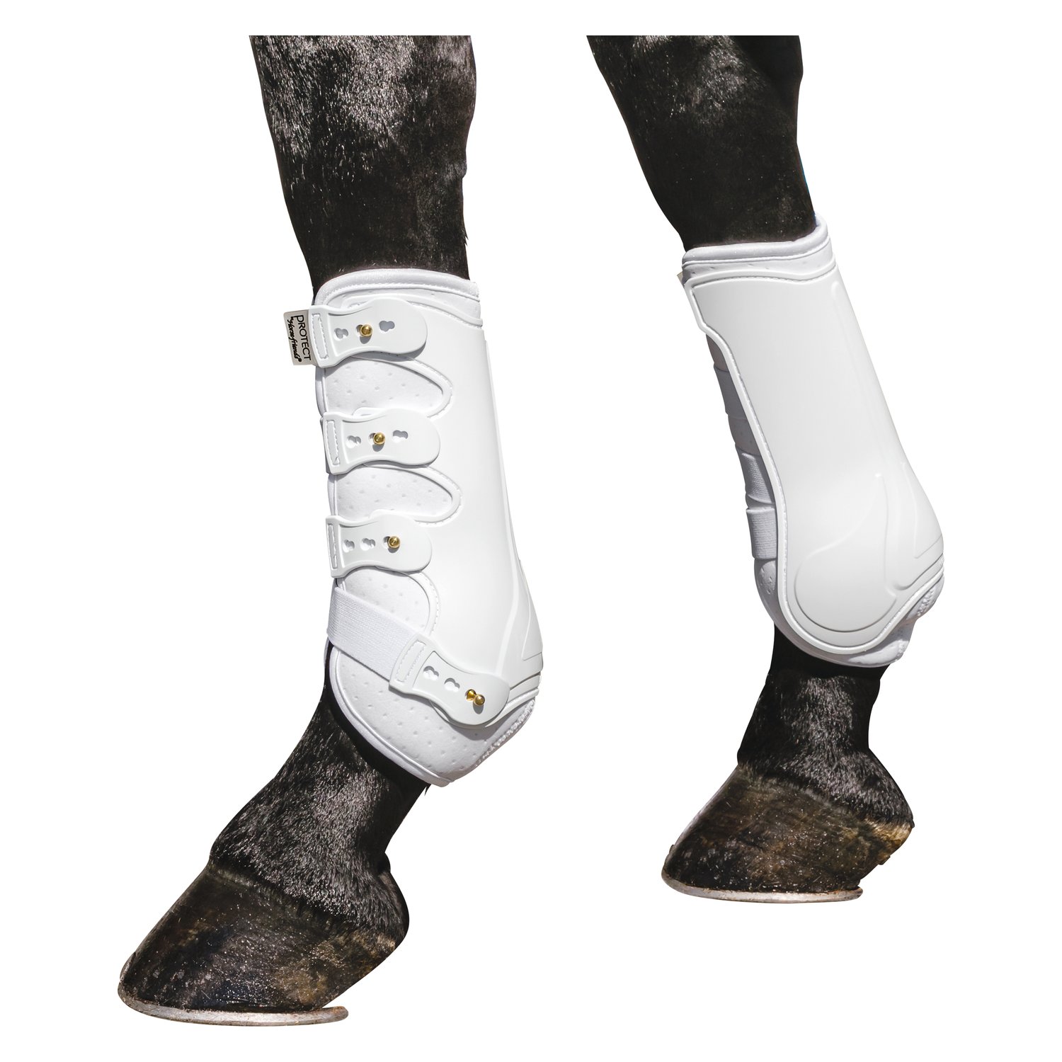 PROTECT by Horse-friends Dressurgamaschen Amadora V, vorne – Ansicht 1