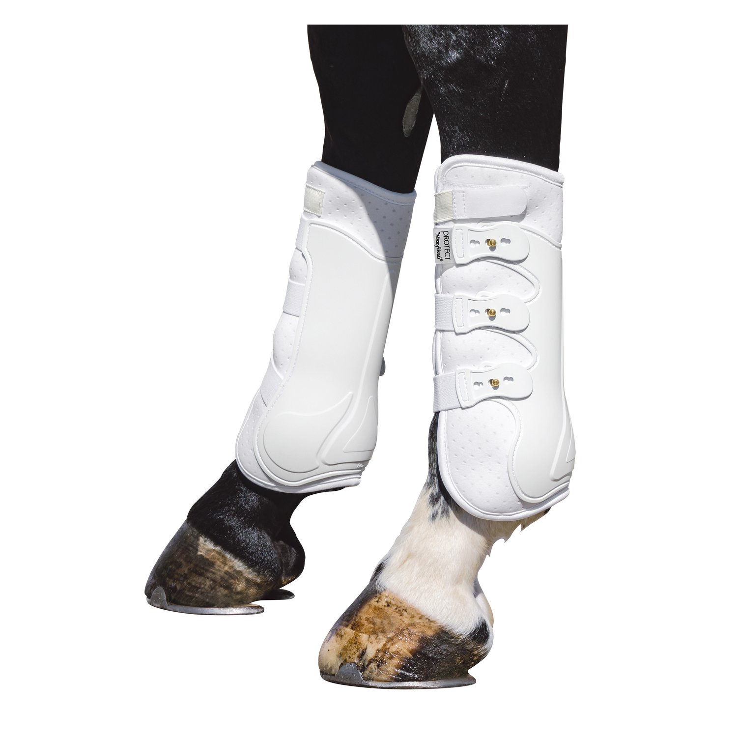 PROTECT by Horse-friends Dressurgamaschen Amadora H, hinten – Ansicht 1