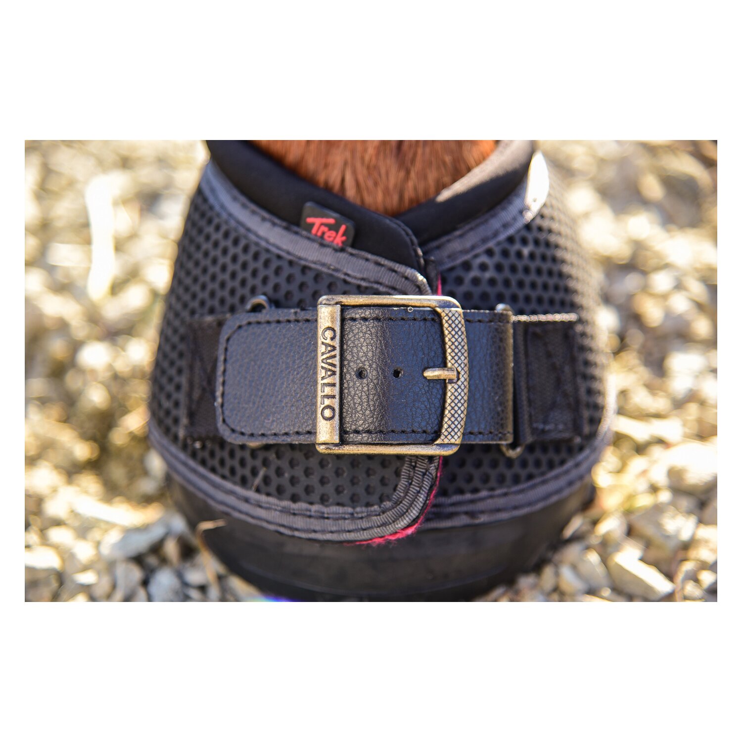 Cavallo Horse and Rider Schnalle – Ansicht 9