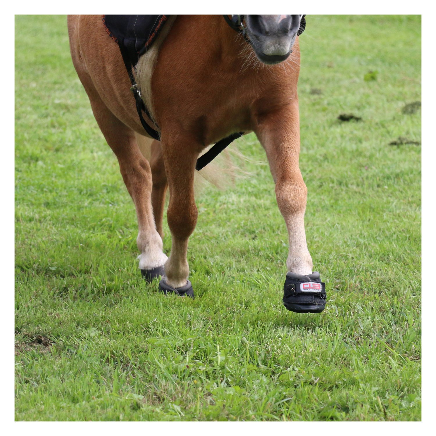 Cavallo Horse and Rider Hufschuh Cute Little Boot, für Shettys – Ansicht 3