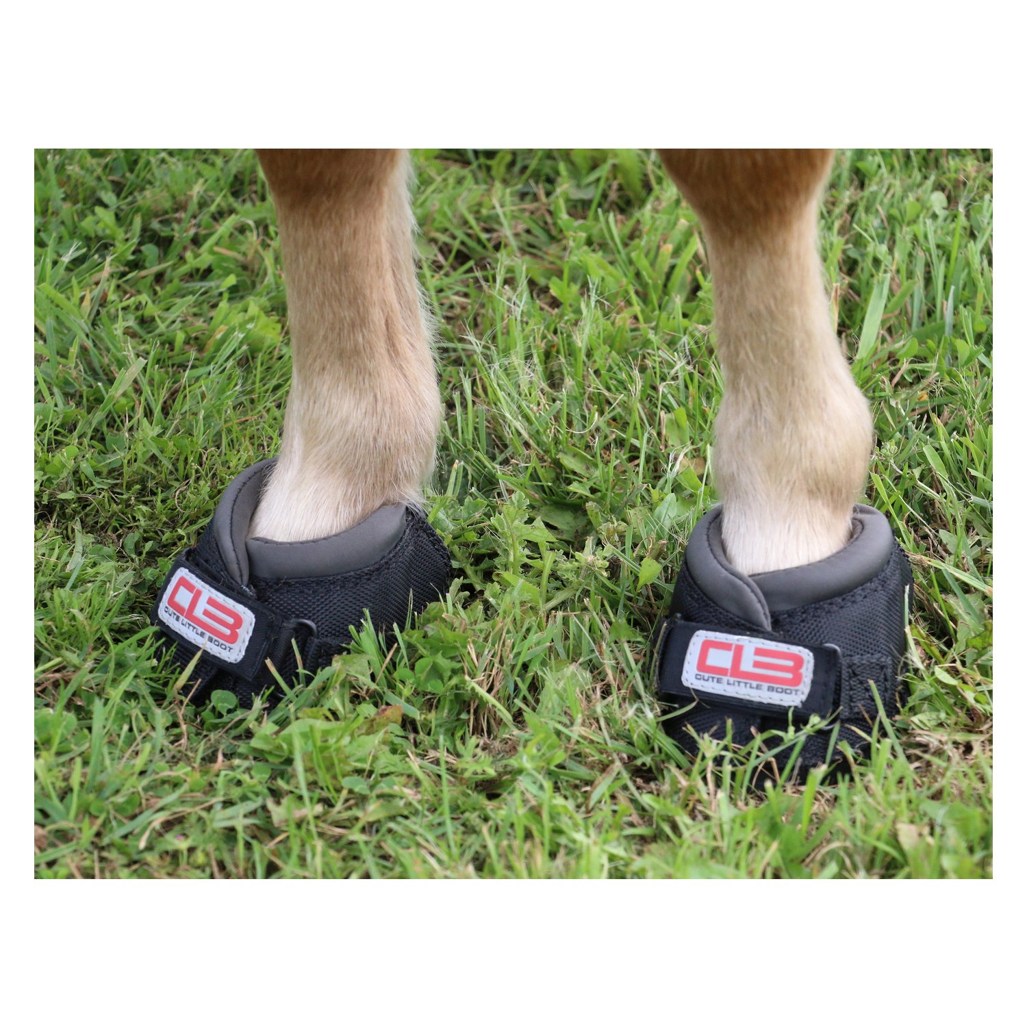 Cavallo Horse and Rider Hufschuh Cute Little Boot, für Shettys – Ansicht 2