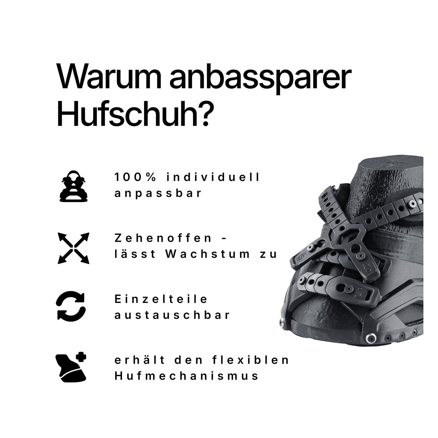 GOODSMITH Hufschuh &ndash; Ansicht 5