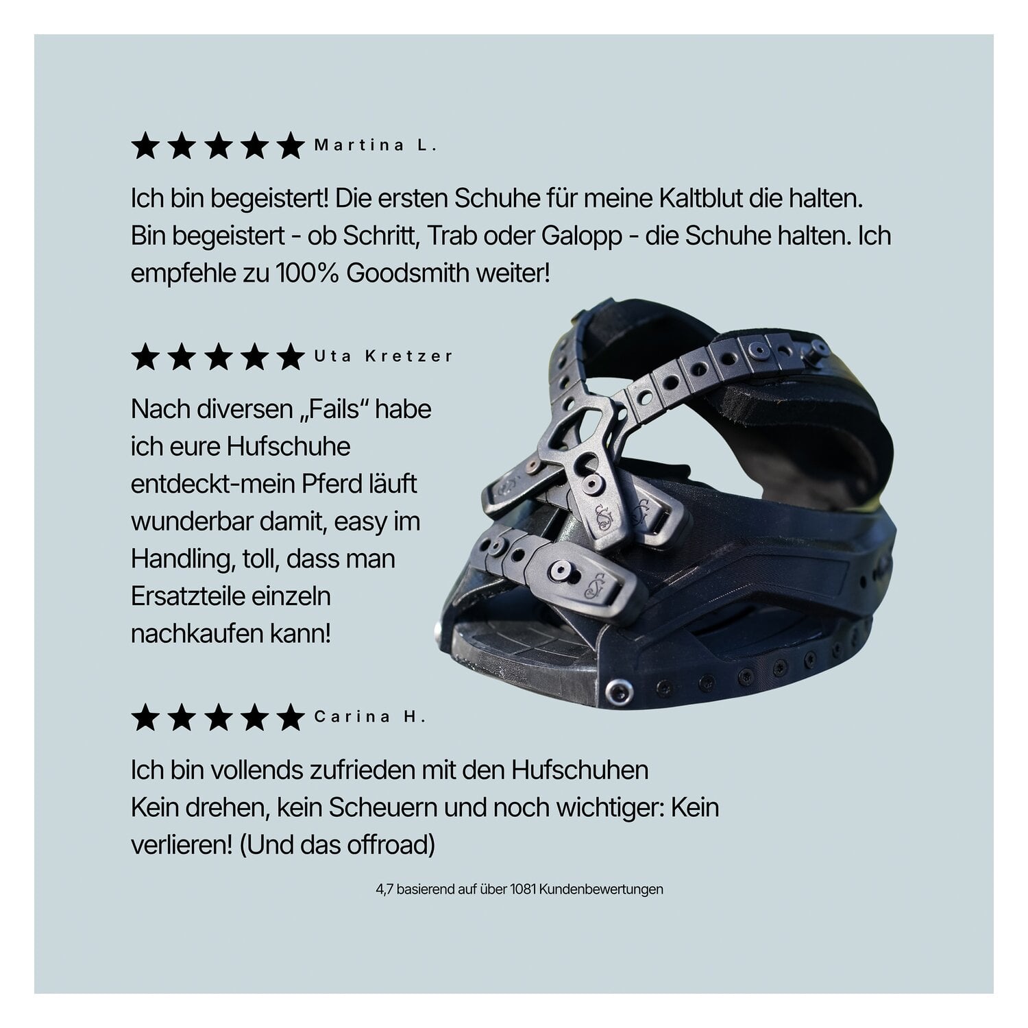 GOODSMITH Hufschuh &ndash; Ansicht 9