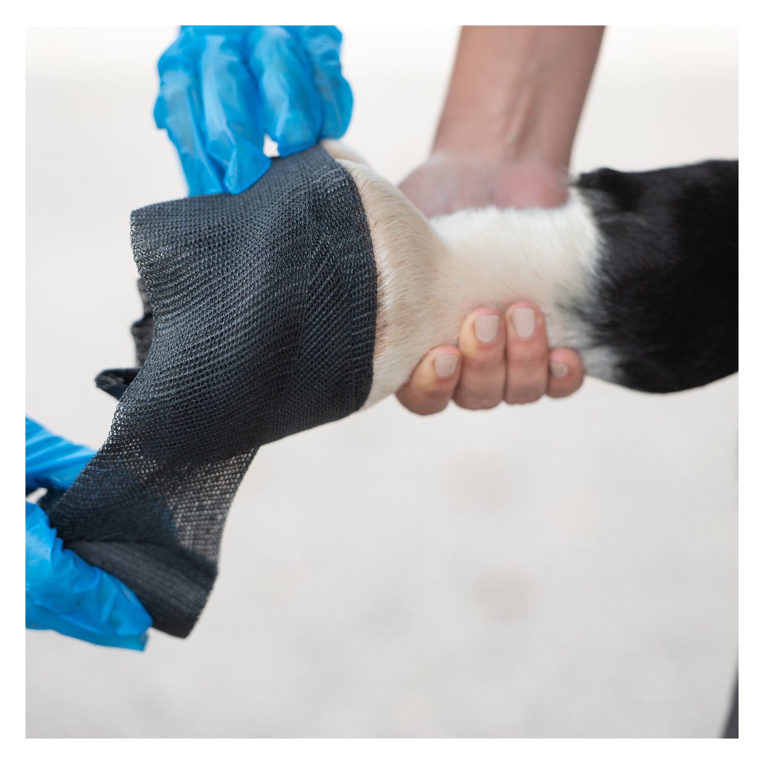 KERBL TechnoCast Cast- und Stützverband – Ansicht 4