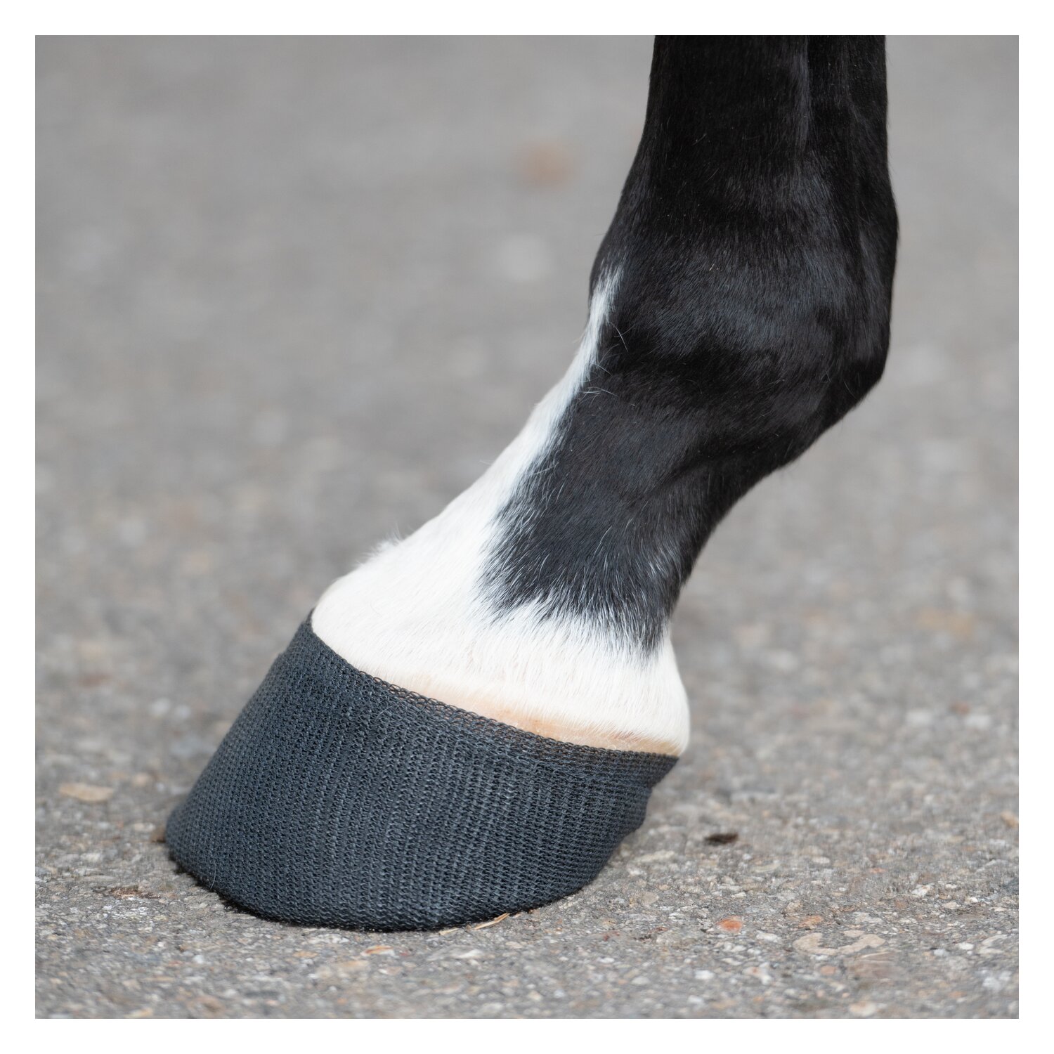 KERBL TechnoCast Cast- und Stützverband – Ansicht 6