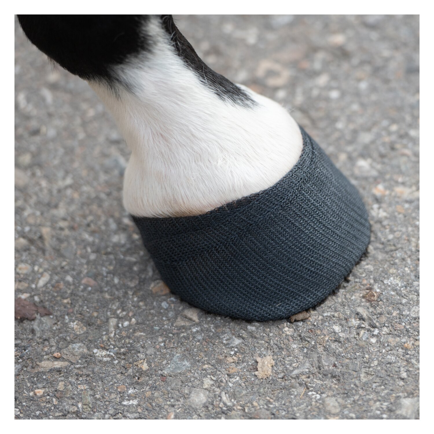 KERBL TechnoCast Cast- und Stützverband – Ansicht 7