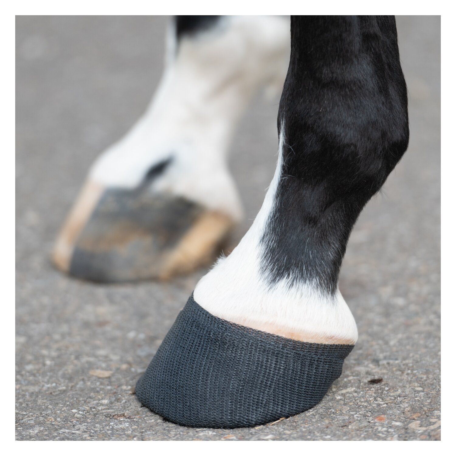 KERBL TechnoCast Cast- und Stützverband – Ansicht 5