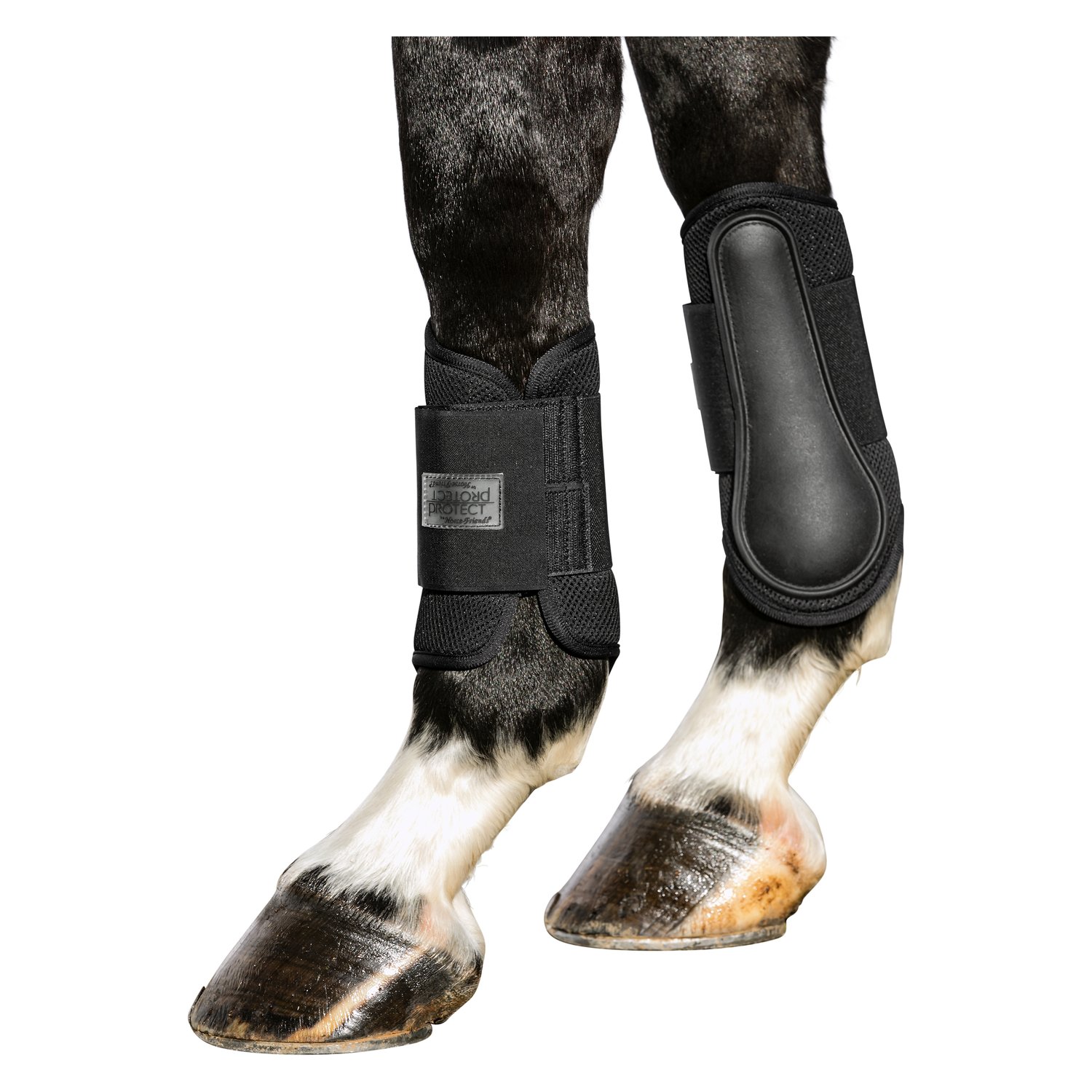 PROTECT by Horse-friends Gamaschen Mesh, vorne – Ansicht 2