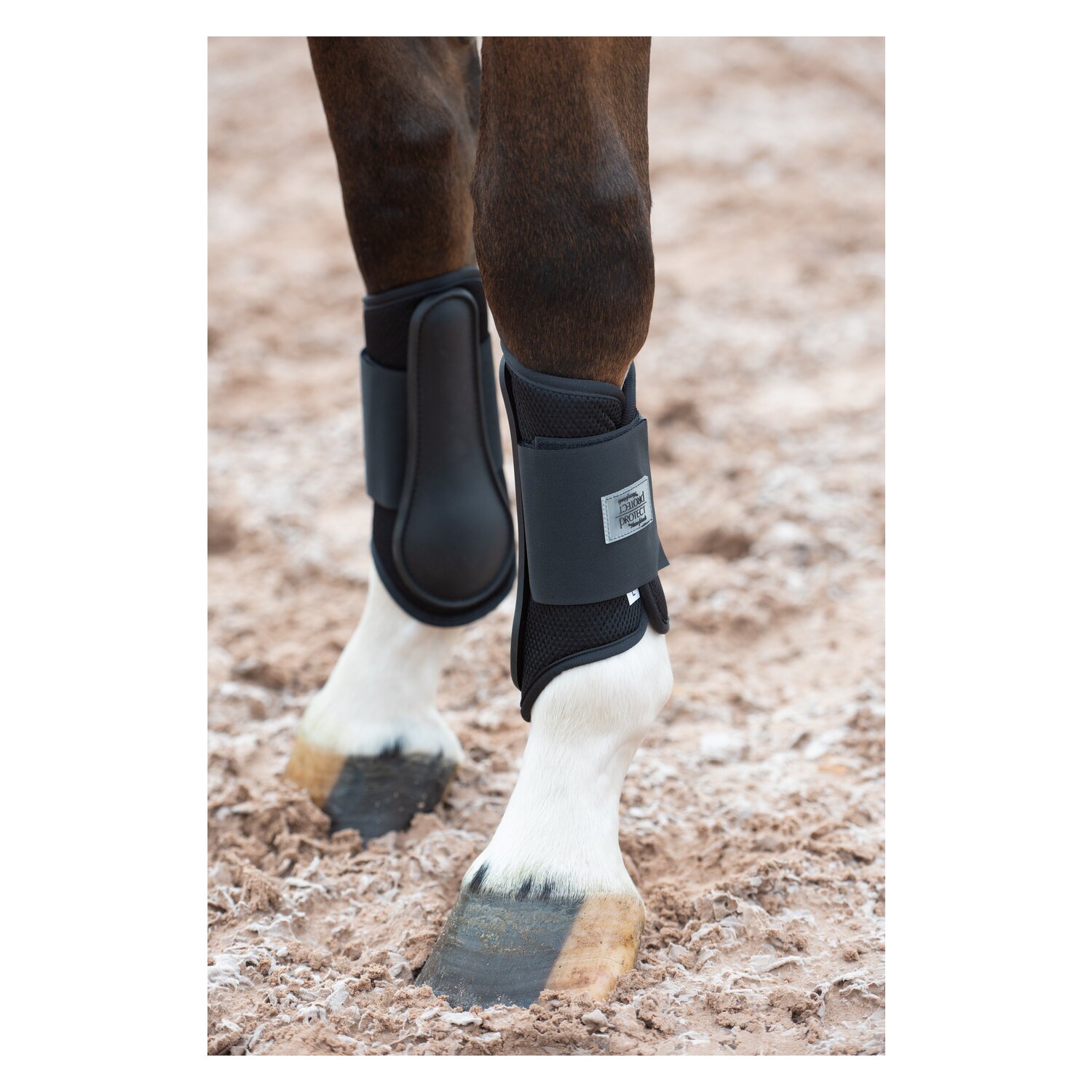 PROTECT by Horse-friends Gamaschen Mesh, vorne – Ansicht 3