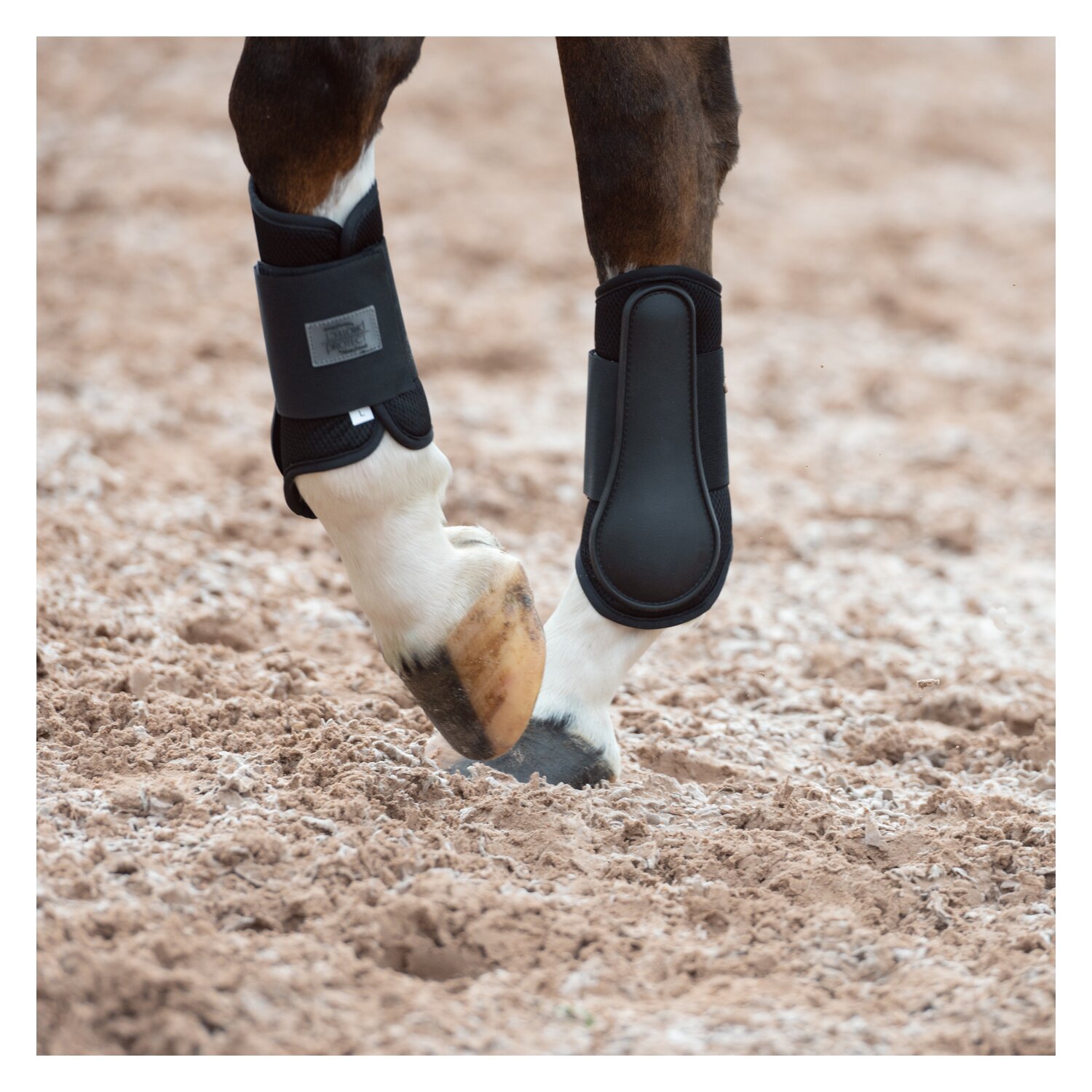 PROTECT by Horse-friends Gamaschen Mesh, vorne – Ansicht 4