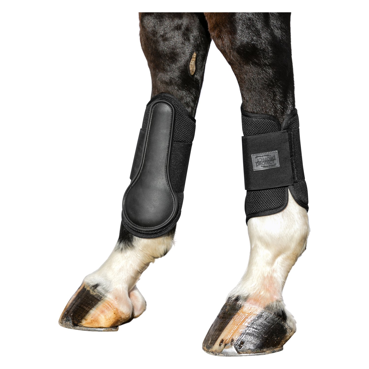 PROTECT by Horse-friends Gamaschen Mesh, hinten – Ansicht 2