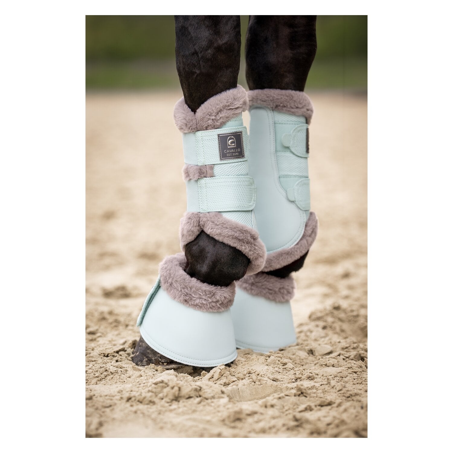 Cavallo Gamaschen CAVALJOCA &ndash; Ansicht 4