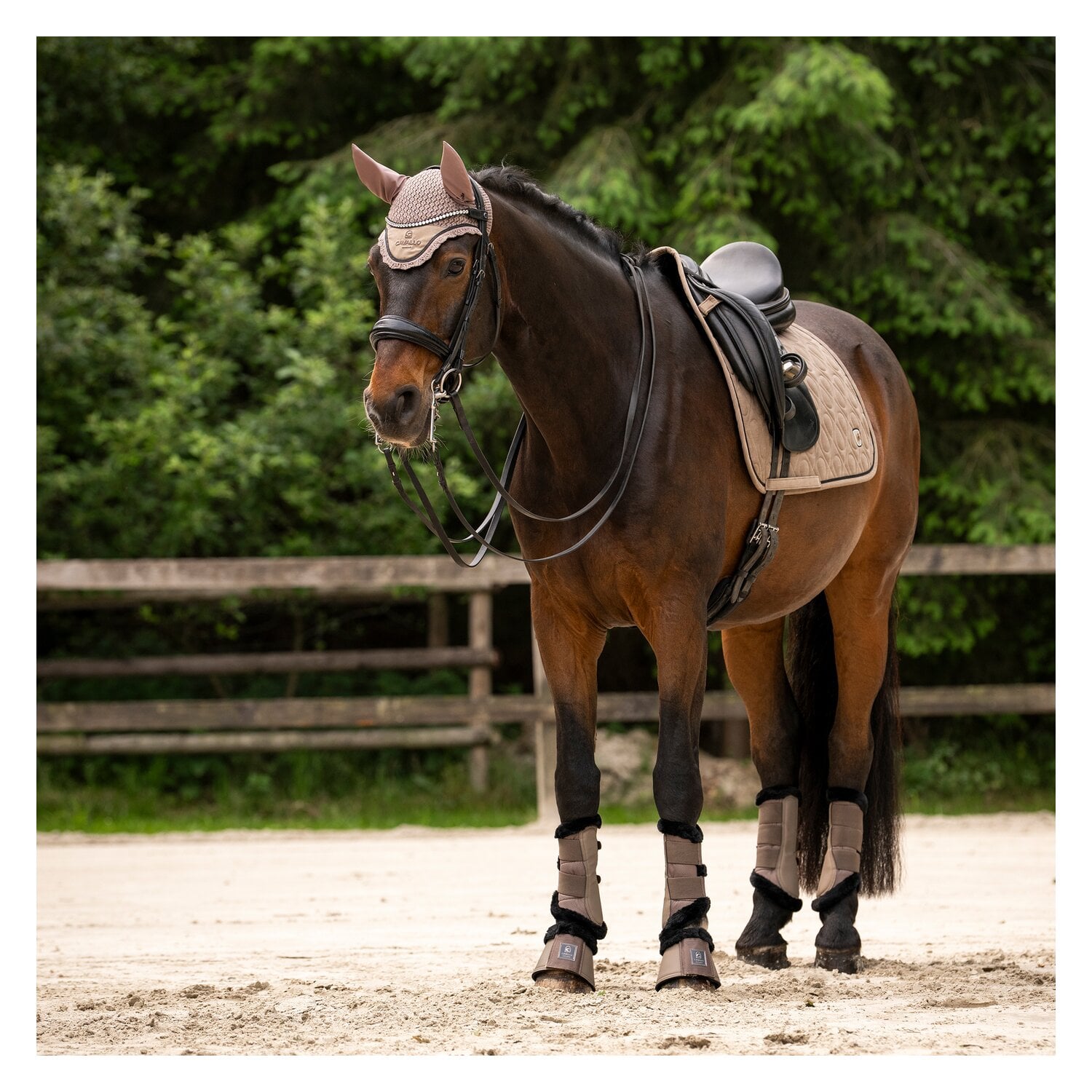 Cavallo Gamaschen CAVALJOCA &ndash; Ansicht 4