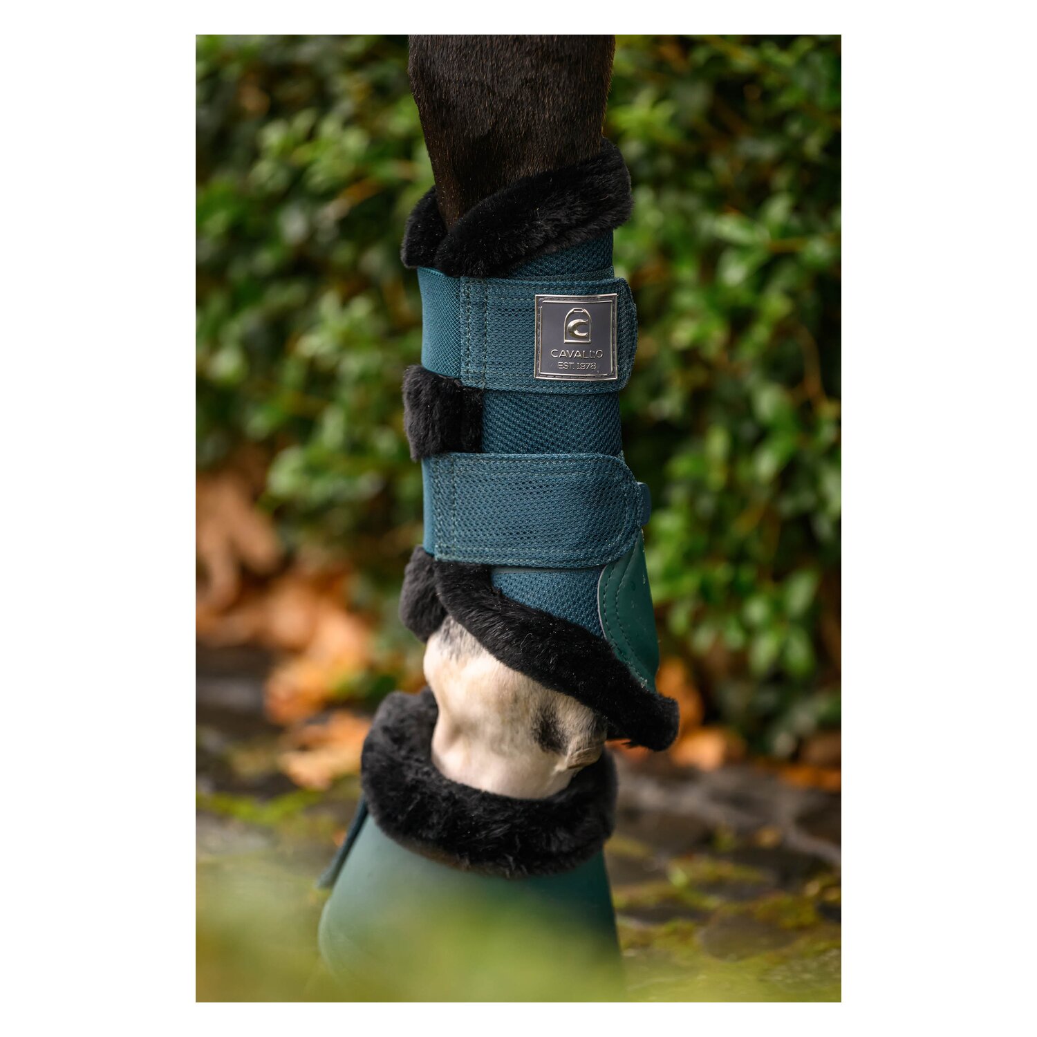 Cavallo Gamaschen CAVALJOCA &ndash; Ansicht 6