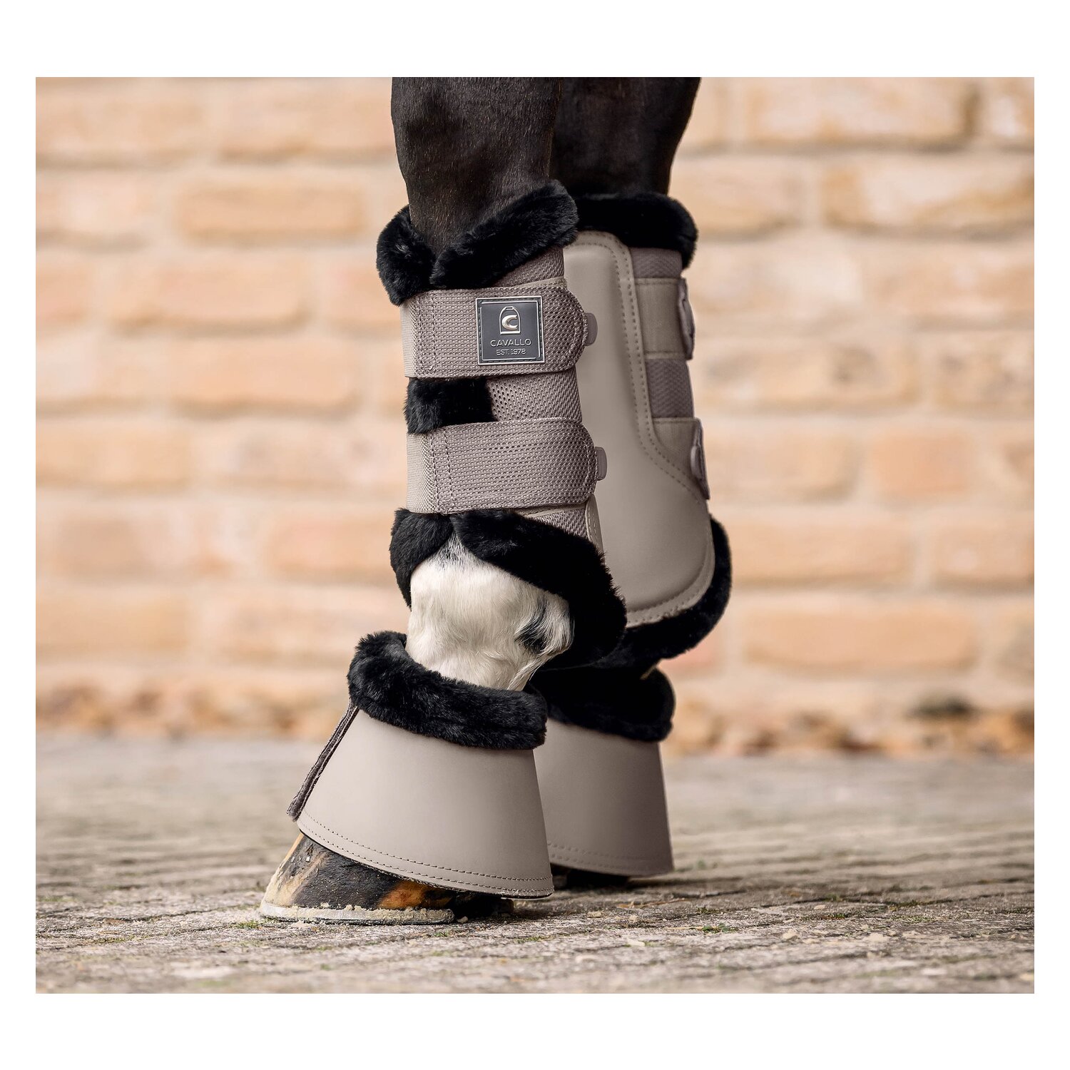 Cavallo Gamaschen CAVALJOCA &ndash; Ansicht 5