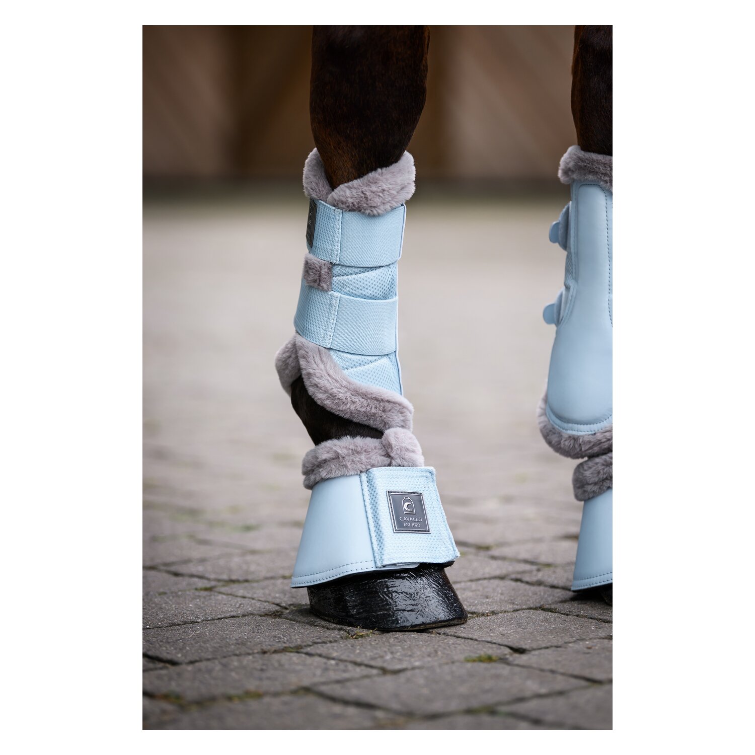 Cavallo Hufglocken CAVALJODI – Ansicht 3