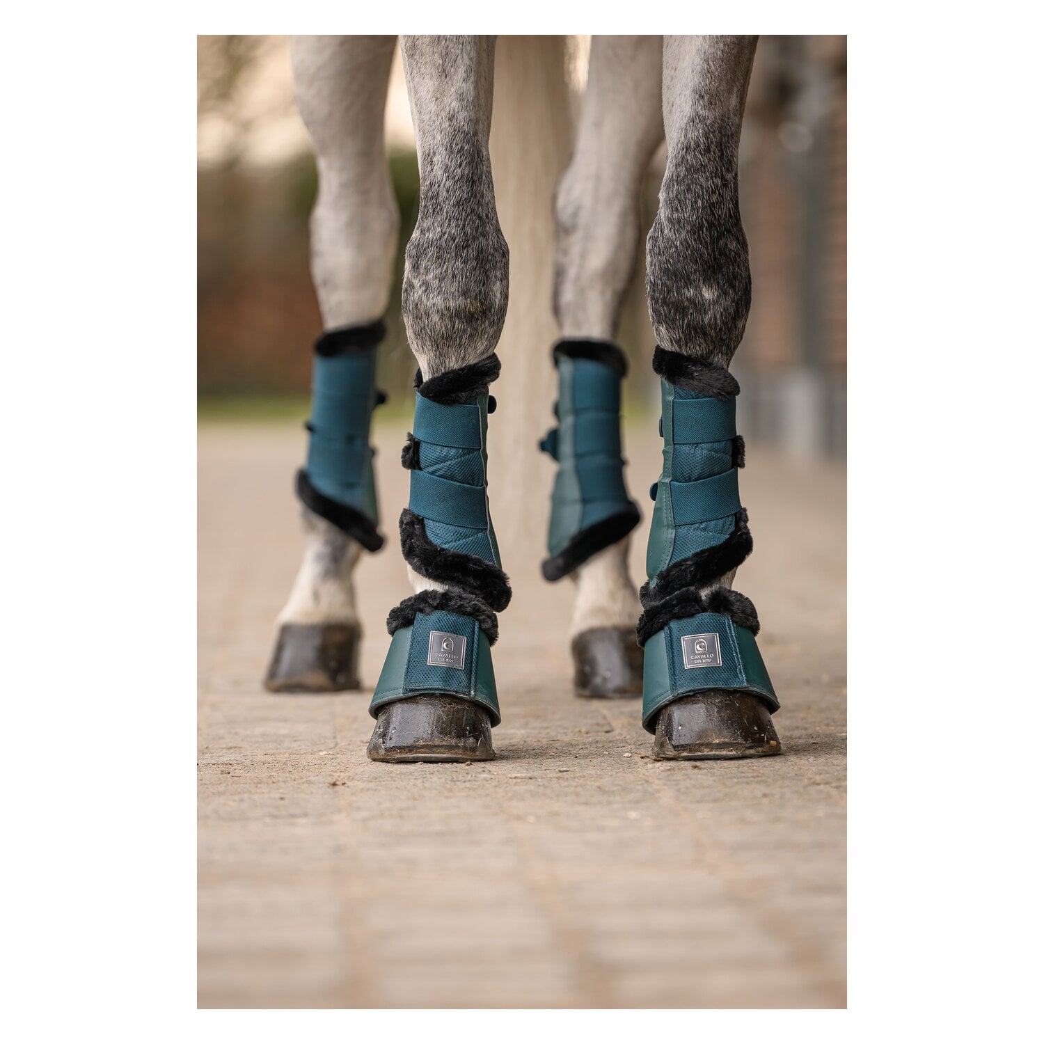Cavallo Hufglocken CAVALJODI &ndash; Ansicht 2