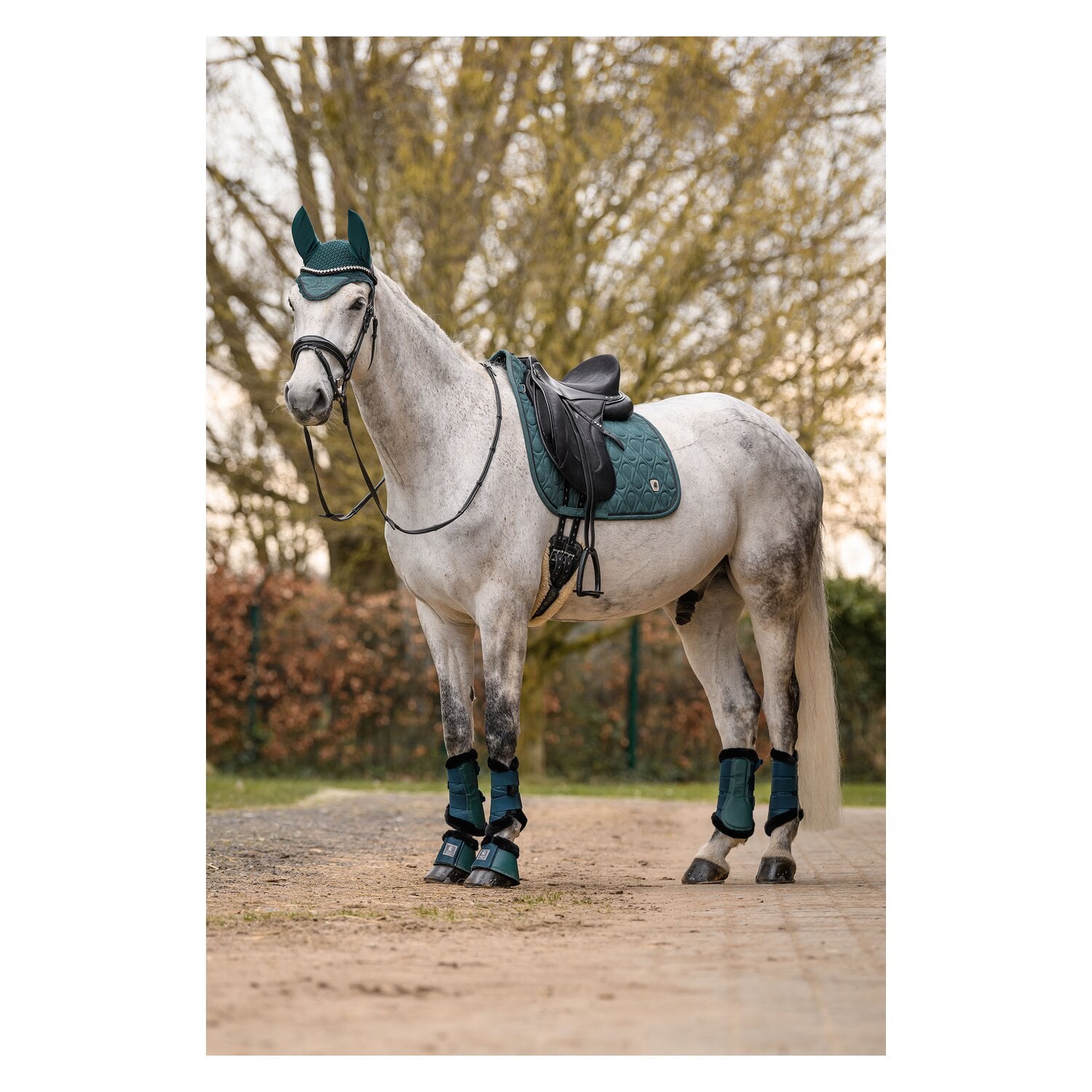 Cavallo Hufglocken CAVALJODI &ndash; Ansicht 3