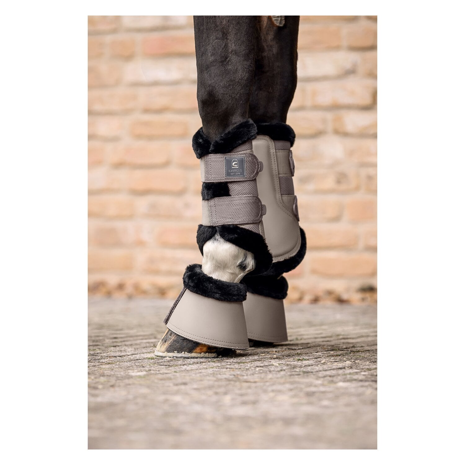 Cavallo Hufglocken CAVALJODI &ndash; Ansicht 2