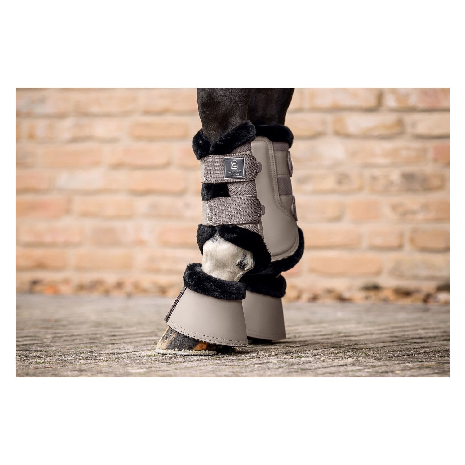 Cavallo Hufglocken CAVALJODI &ndash; Ansicht 3