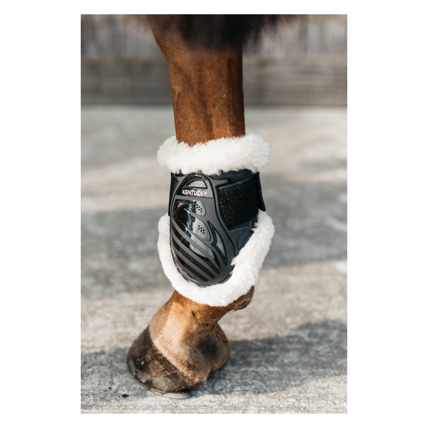 KENTUCKY Fesselkopfgamaschen Young Horse Vegan Sheepskin, für Hinterbeine – Ansicht 3