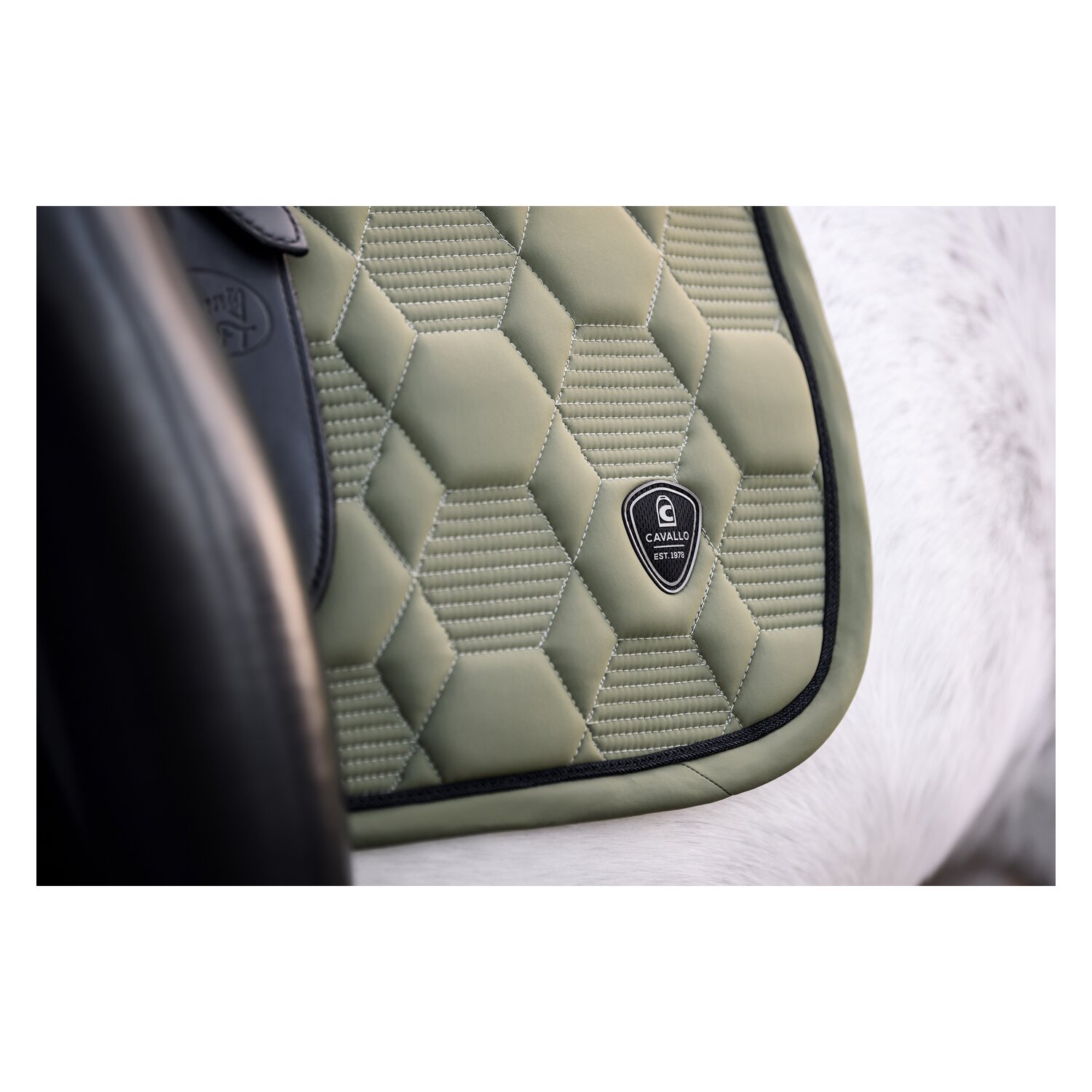 Cavallo Schabracke CAVALPINO – Ansicht 3