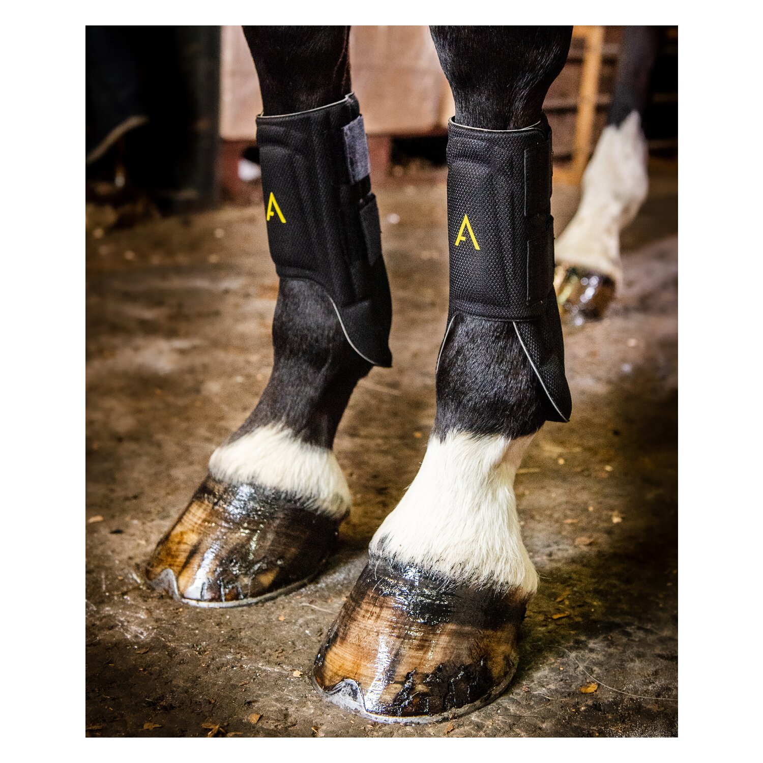 HORSEWARE Gamaschen Adagio Boots – Ansicht 2