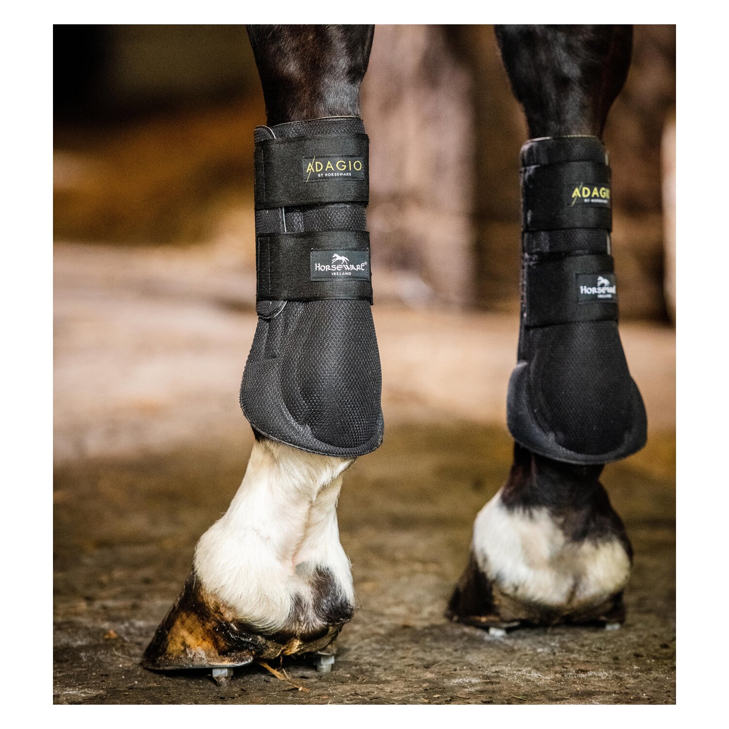 HORSEWARE Gamaschen Adagio Boots – Ansicht 1