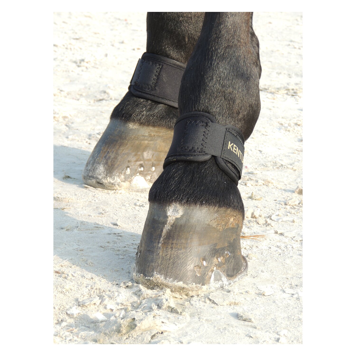 KENTUCKY Fesselschutz – Ansicht 2