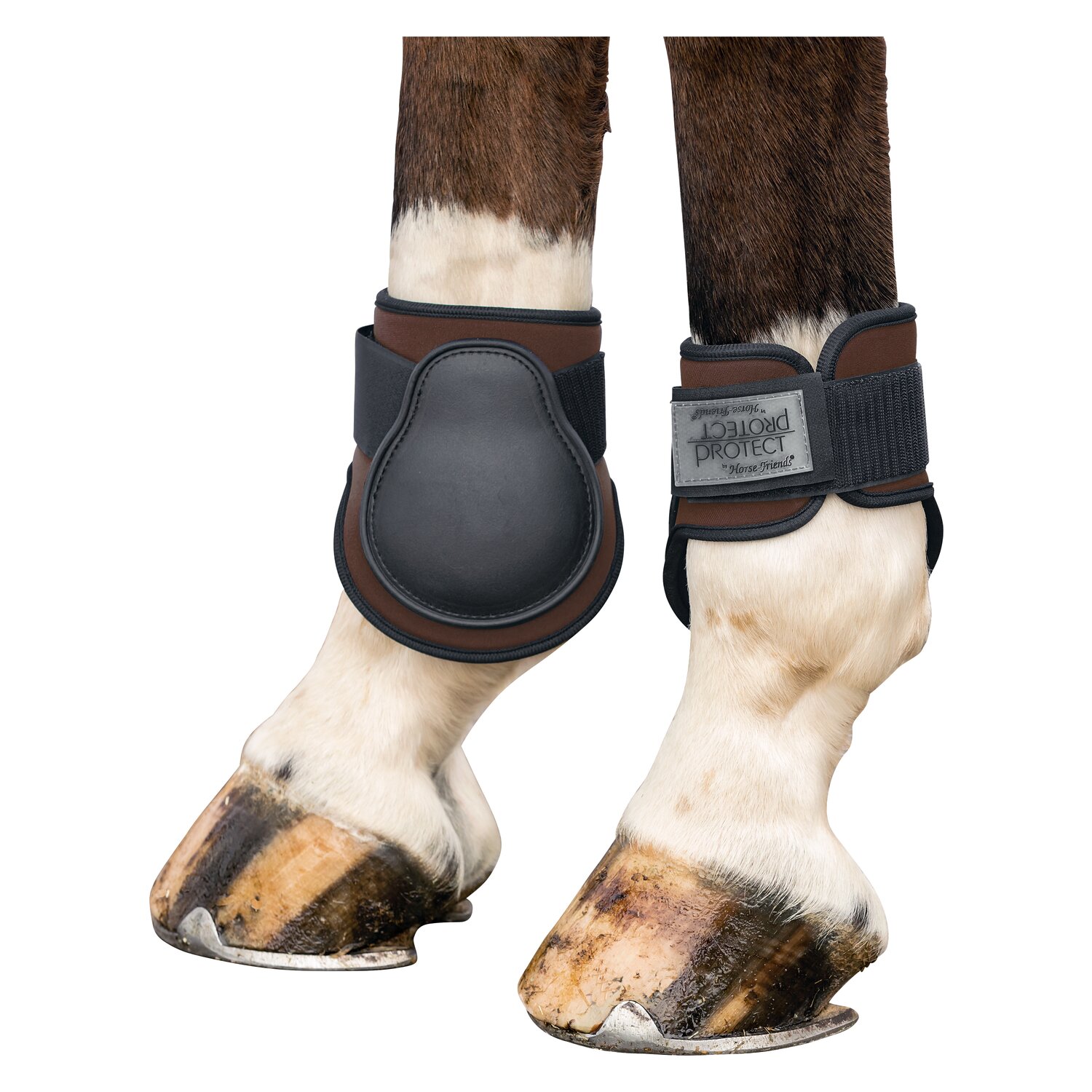PROTECT by Horse-Friends Hippopren-Streichkappe – Ansicht 1