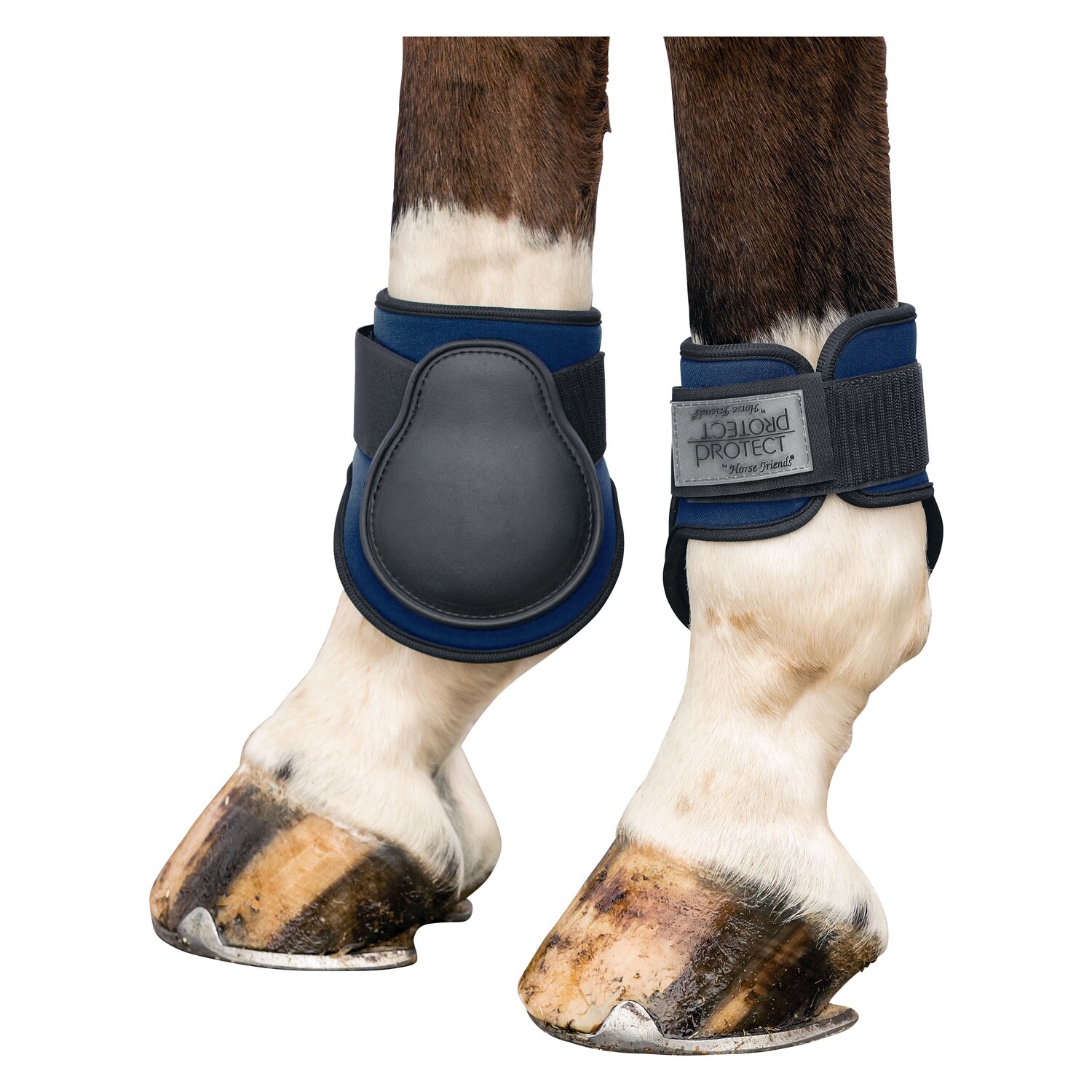PROTECT by Horse-Friends Hippopren-Streichkappe – Ansicht 1