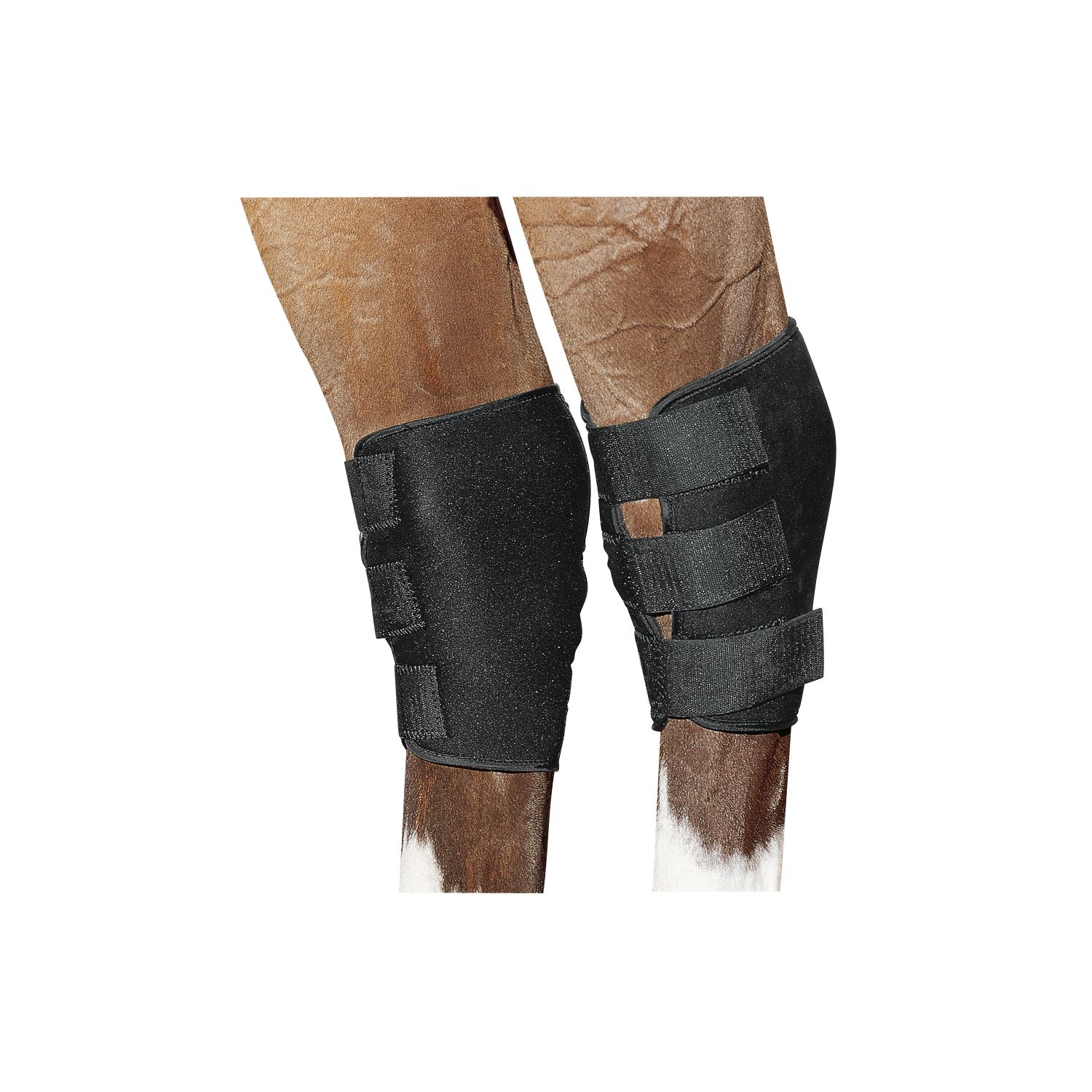 PROTECT by Horse-Friends Hippopren-Gelenkschützer für Hinterbeine – Ansicht 1